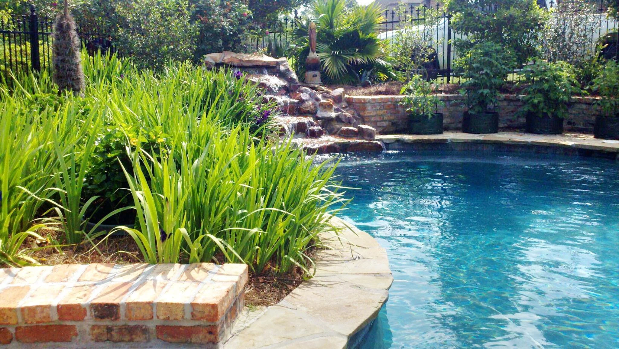 Custom-designed freeform residential pool with rock waterfall in Baton Rouge built by Gulf South Pools & Outdoors.