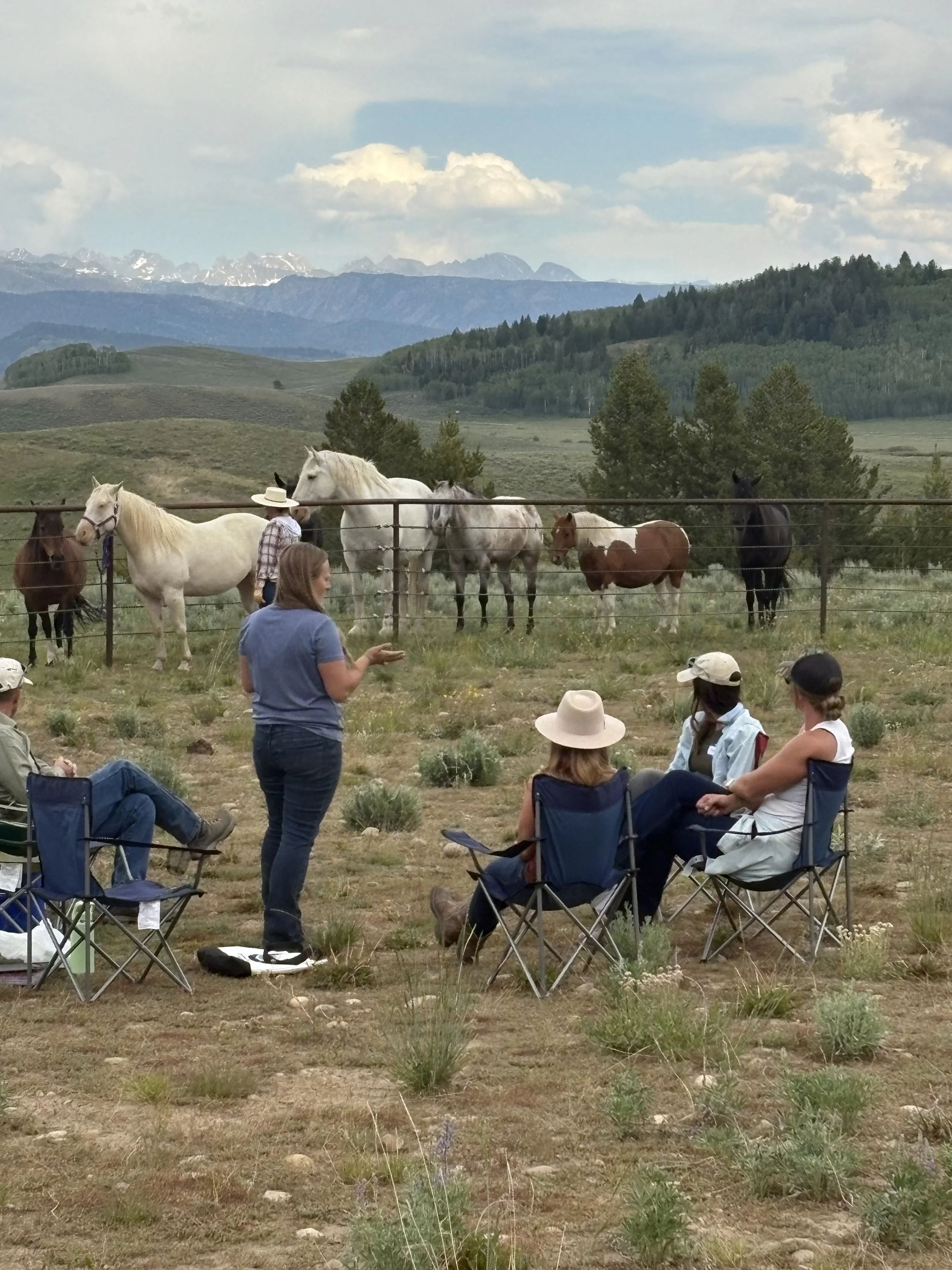 People seated in chairs observing horses behind a fence in a rural landscape with mountains and trees in the background.