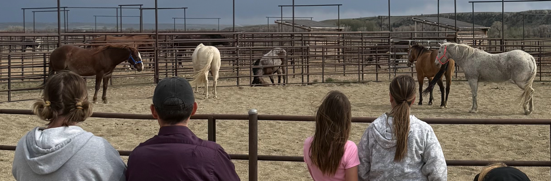 People watching horses in an outdoor paddock with metal fences, with mountains in the background.