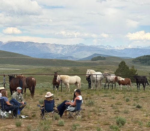 The Herd and The Heart