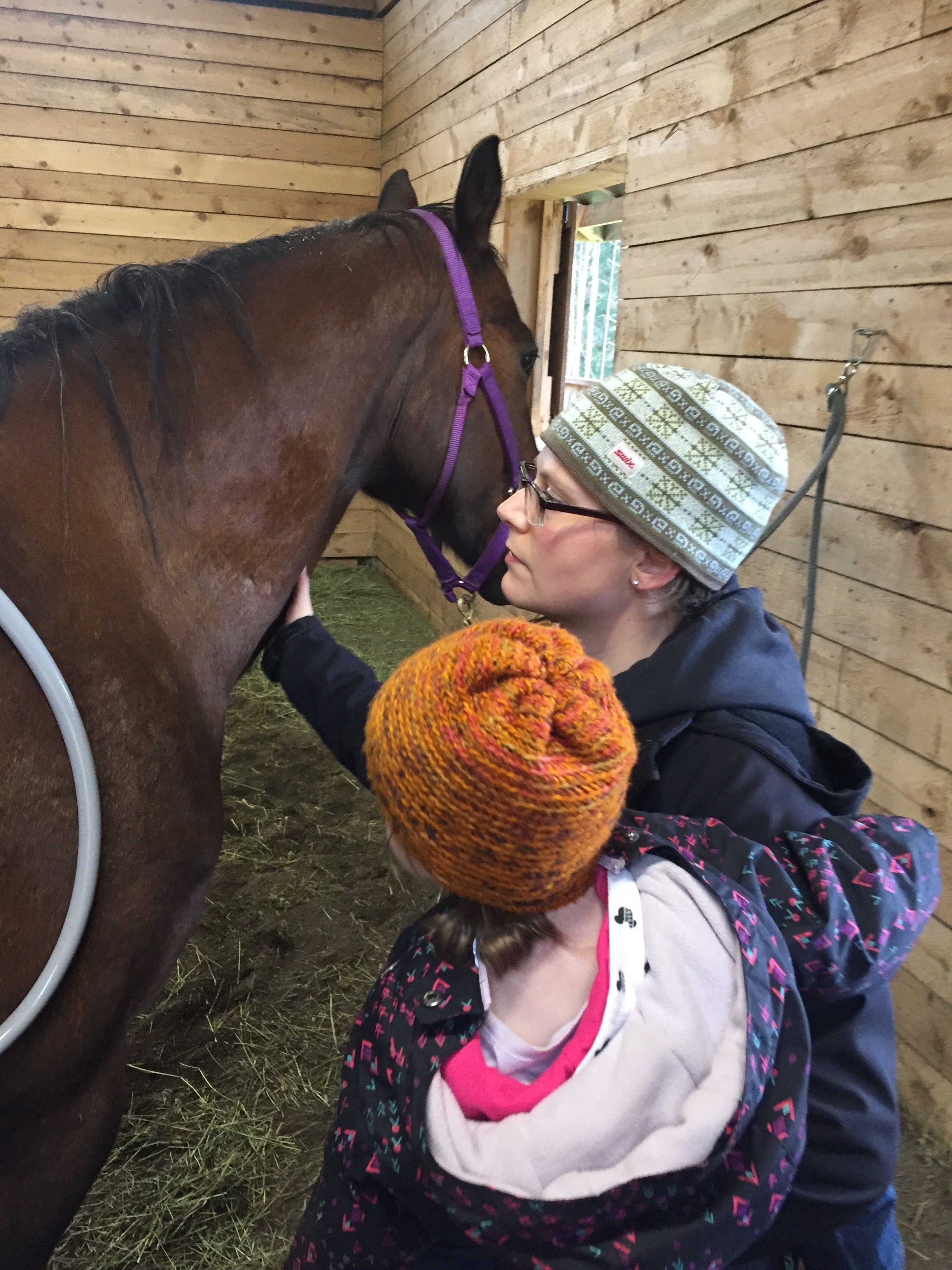 60 Minute Equine PEMF Session