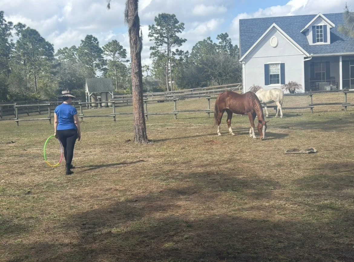 Group or Individual: Equine-Facilitated Learning