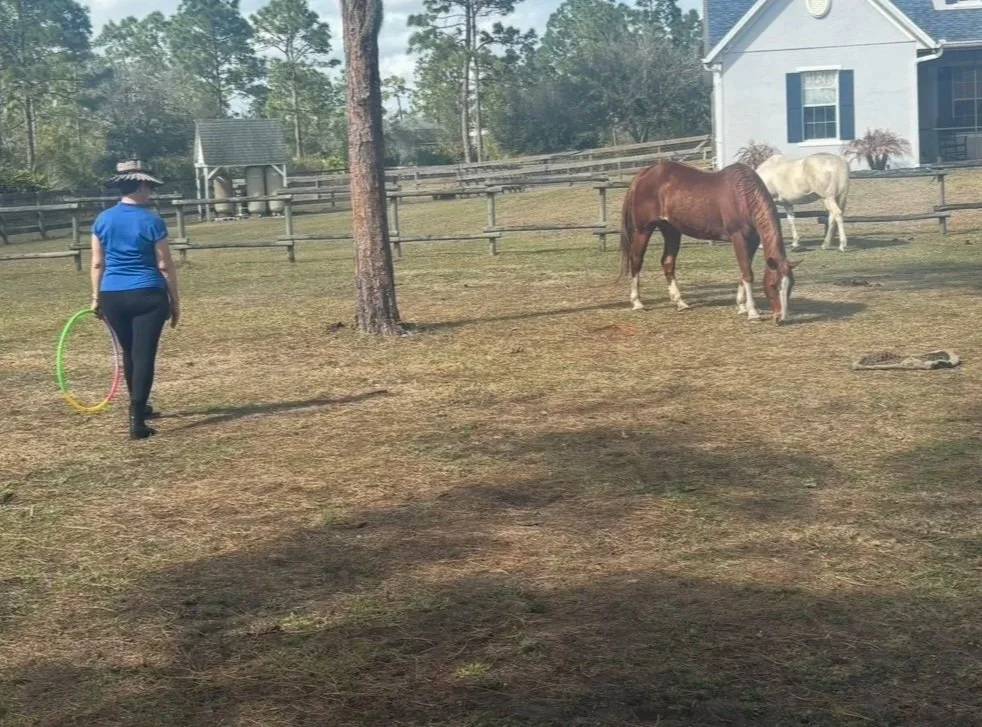 A person holding a colorful hula hoop standing near two horses grazing in a backyard with a house and trees in the background.