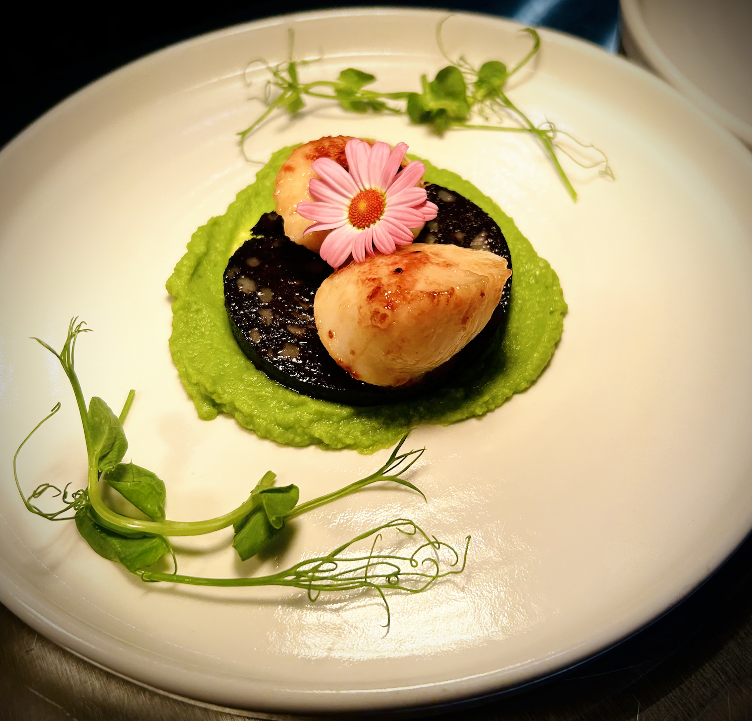 Screenshot 2026-01-28 at 14.55.55.png