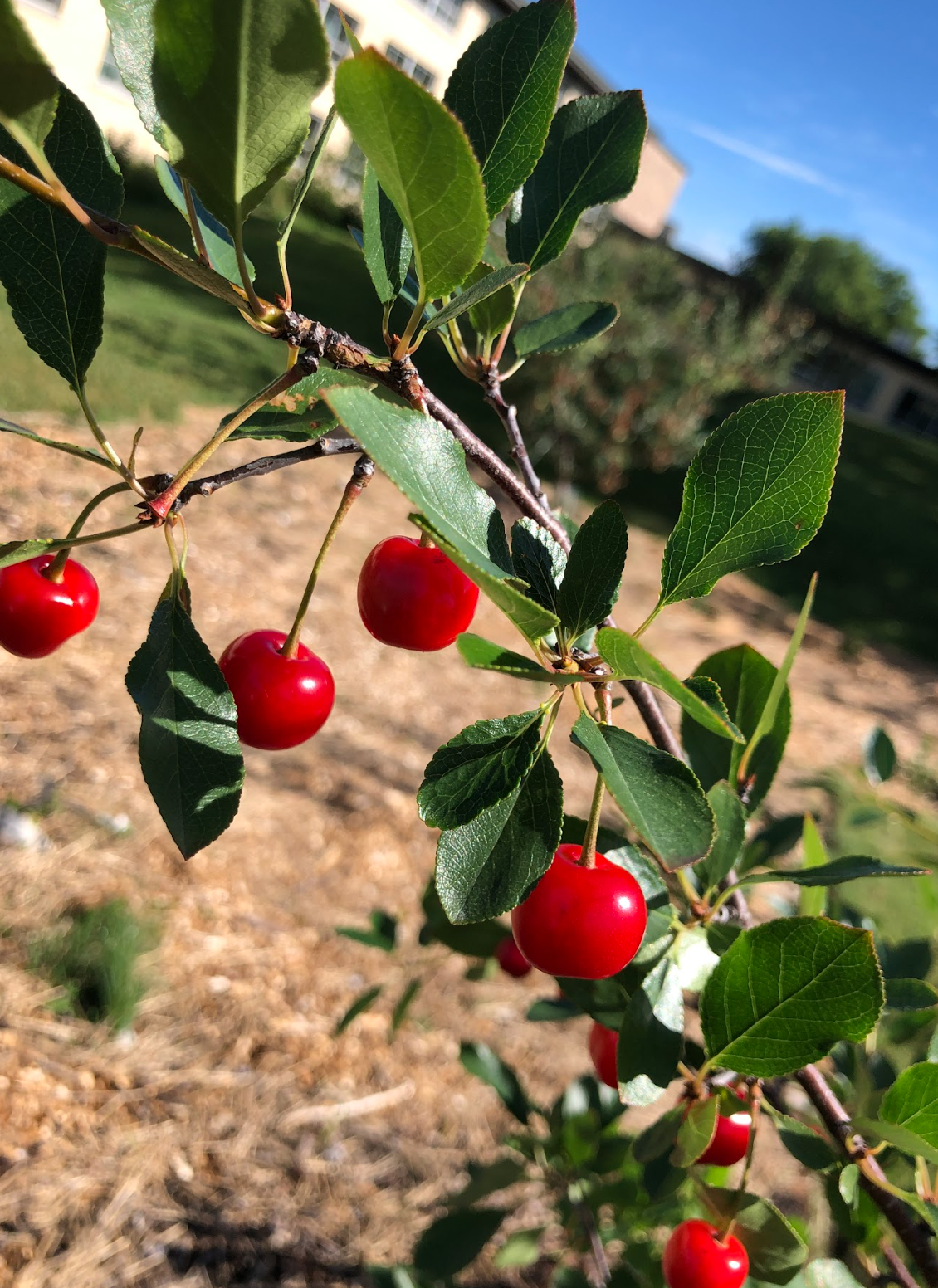 Capture d’écran, le 2026-02-12 à 16.09.32.png