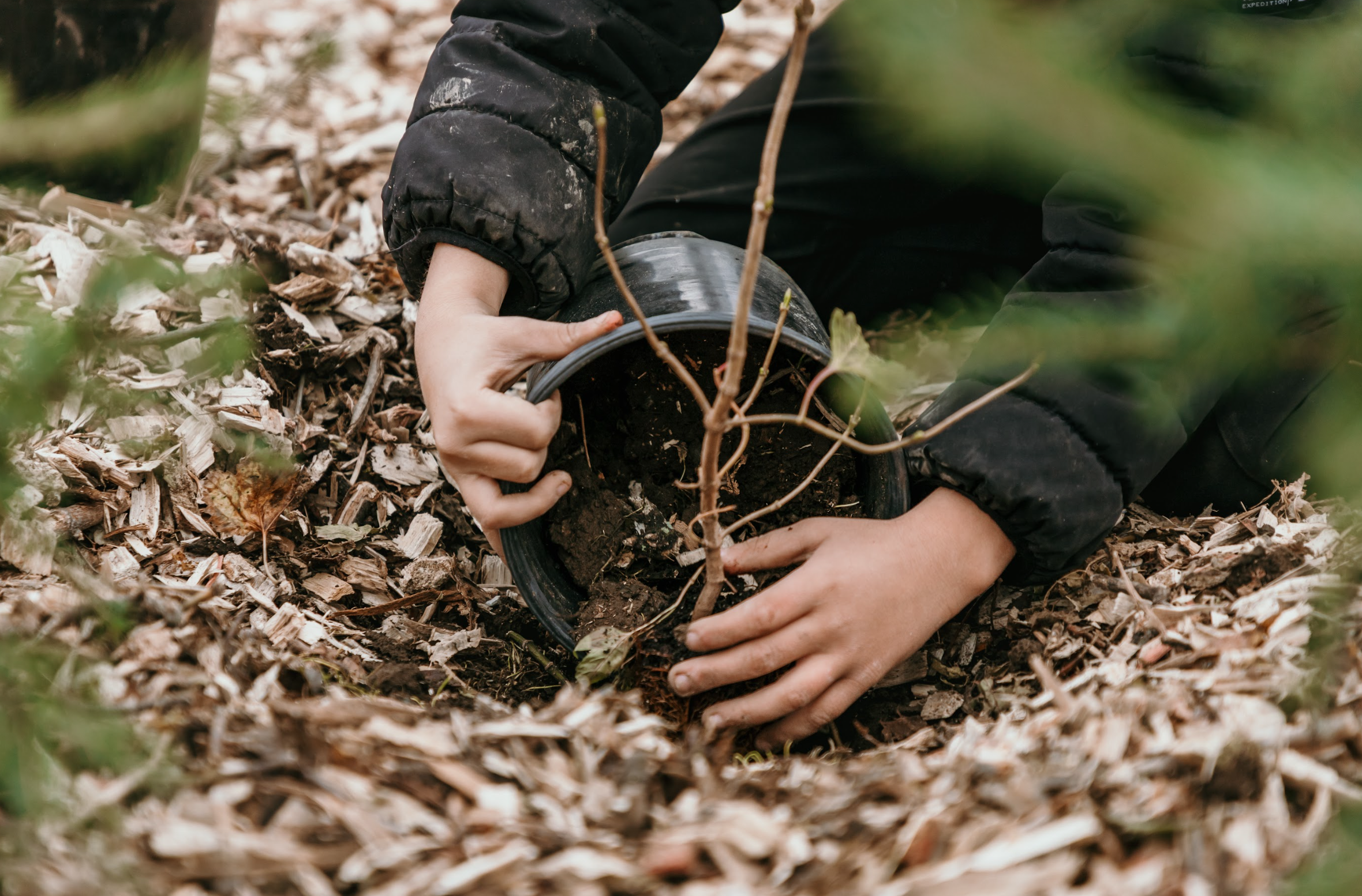 Capture d’écran, le 2026-02-18 à 11.38.34.png