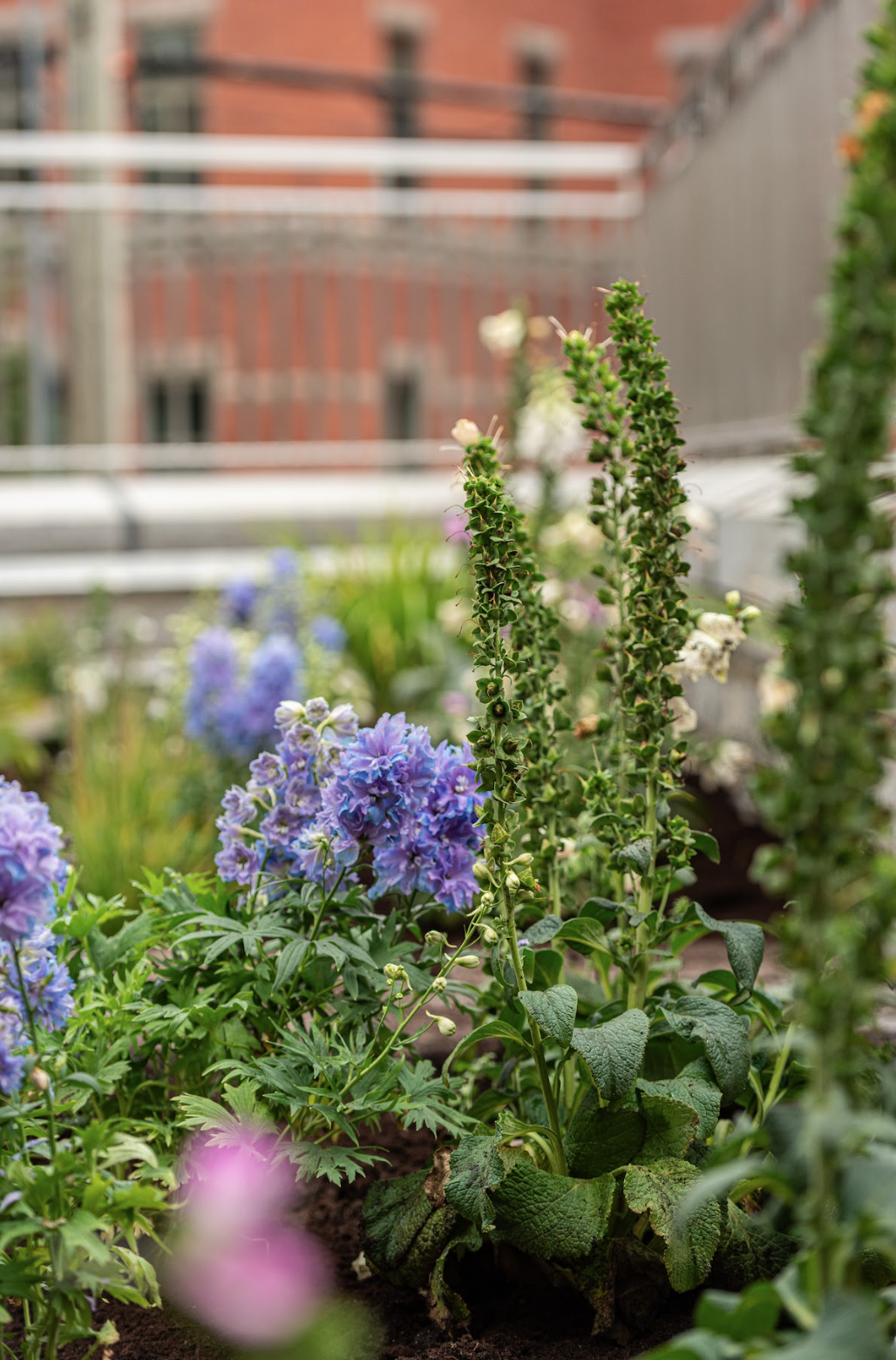 Capture d’écran, le 2026-02-12 à 14.51.36.png