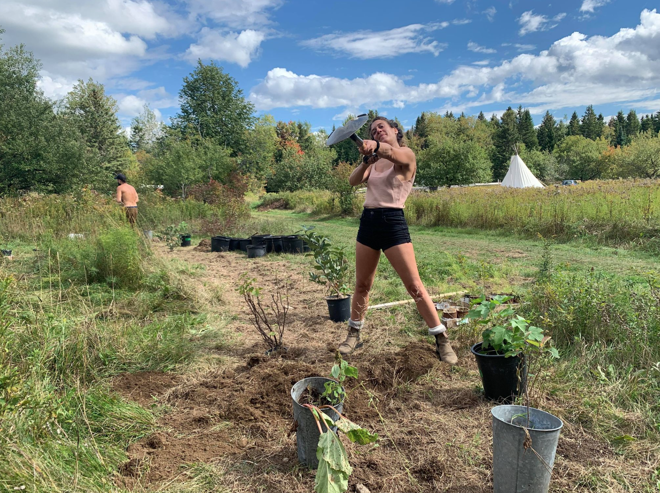 Capture d’écran, le 2026-02-11 à 15.53.30.png