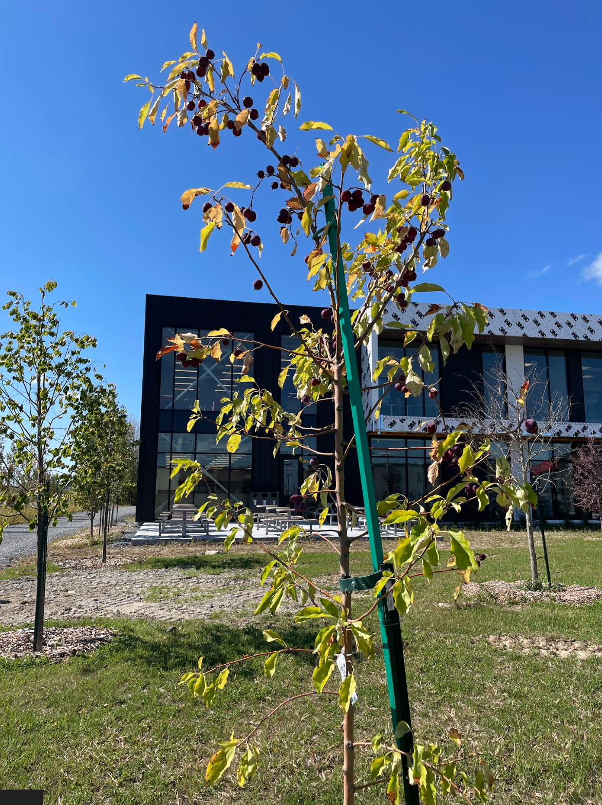 Capture d’écran, le 2026-02-11 à 15.30.16.png