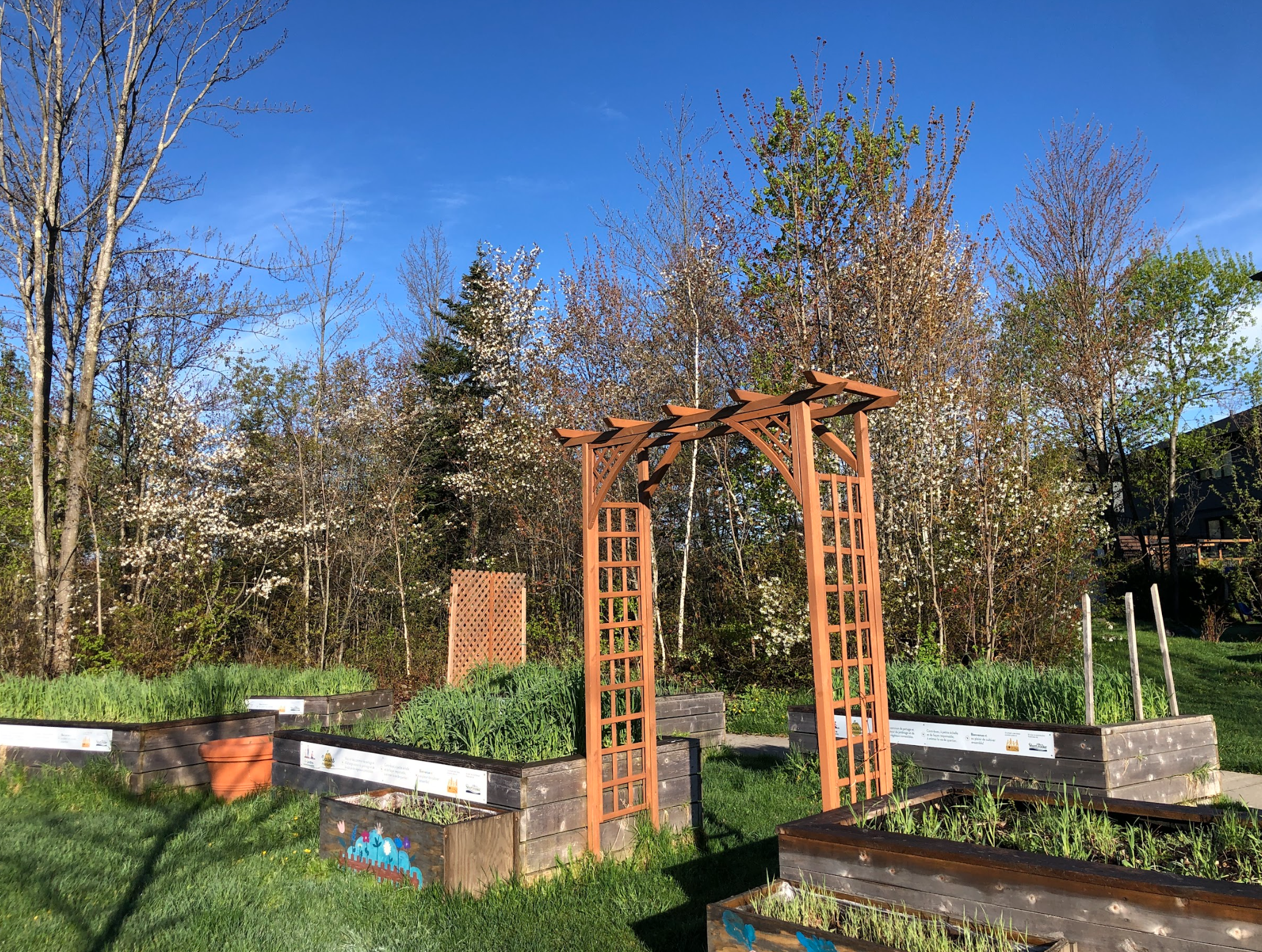 Capture d’écran, le 2026-02-12 à 16.11.22.png