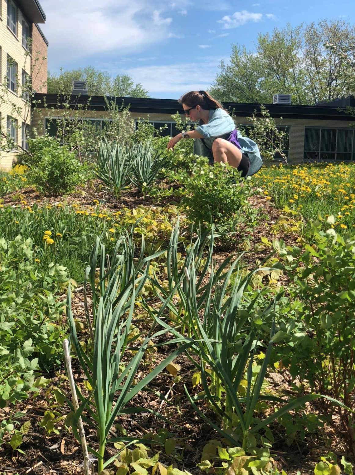 Capture d’écran, le 2026-02-12 à 16.06.04.png