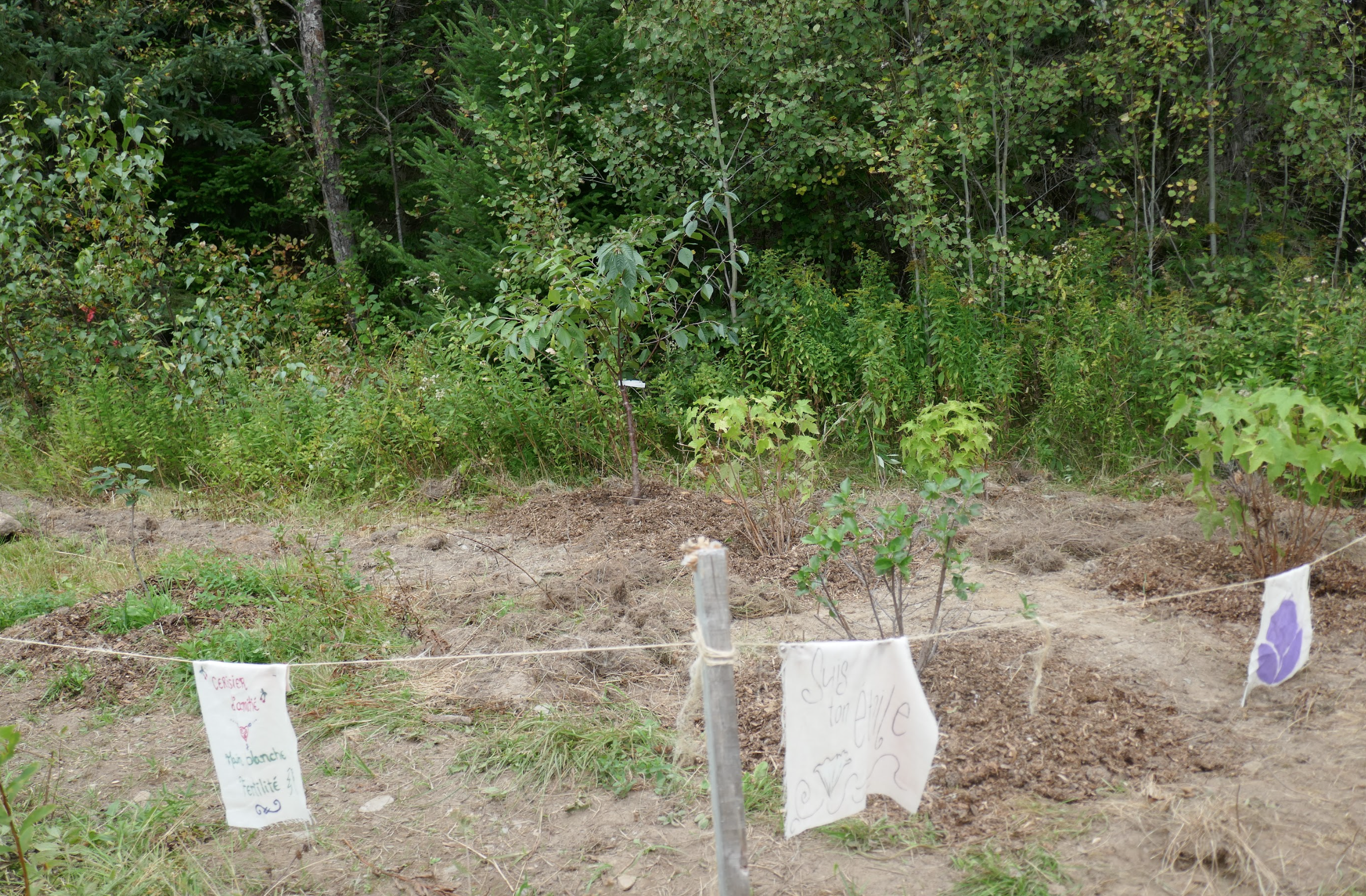 Capture d’écran, le 2026-02-11 à 15.52.34.png