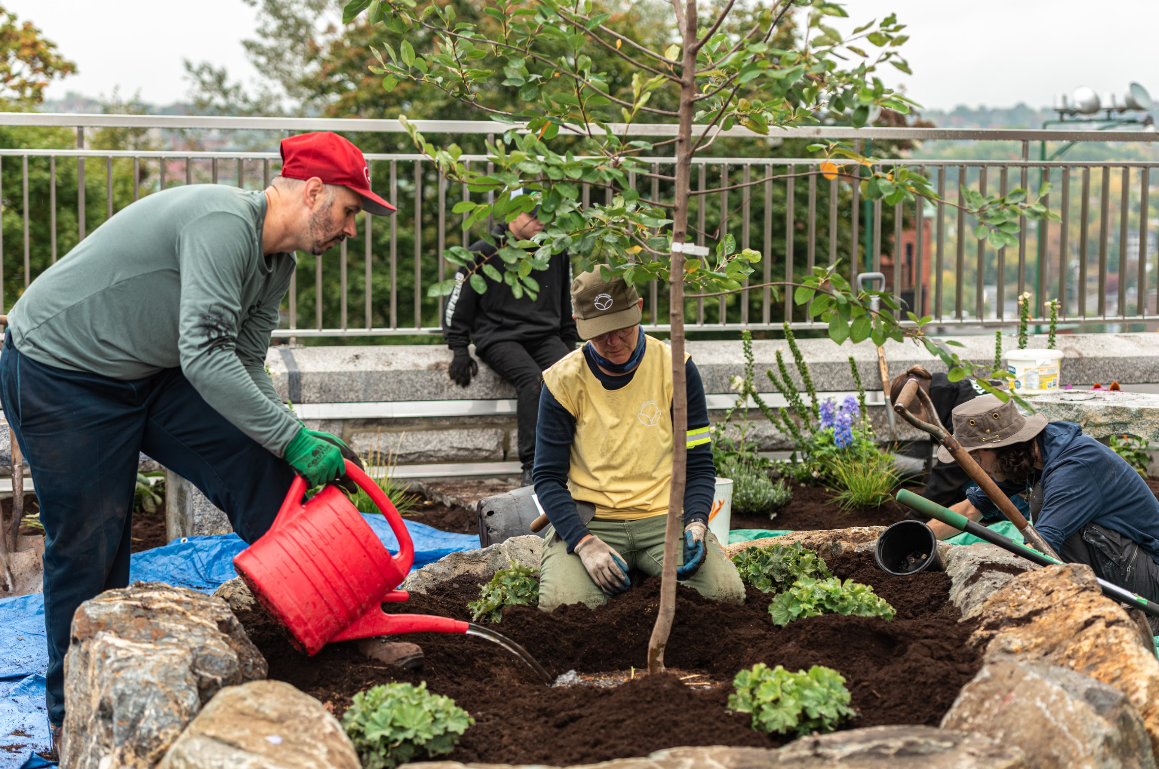 Capture d’écran, le 2026-02-12 à 14.51.19.png