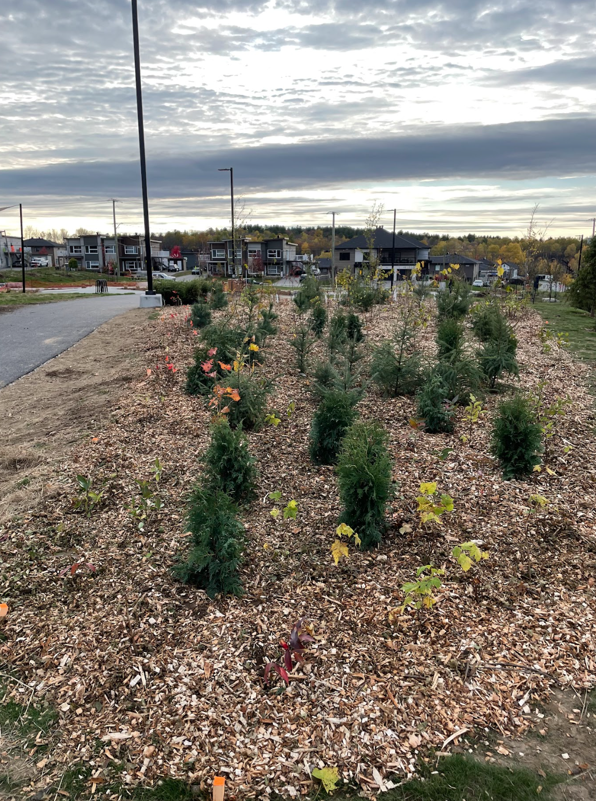 Capture d’écran, le 2026-02-12 à 15.45.17.png