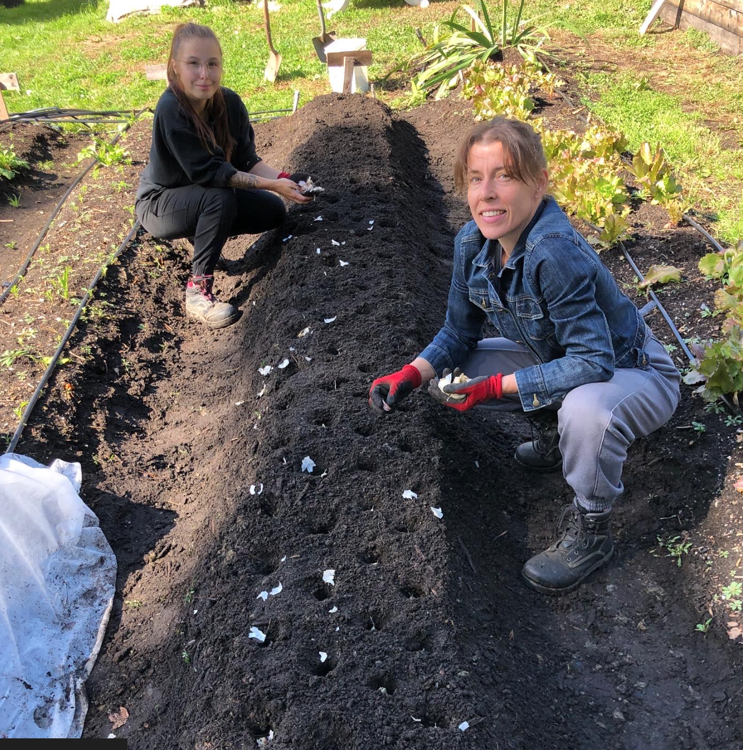 Capture d’écran, le 2026-02-11 à 15.37.52.png