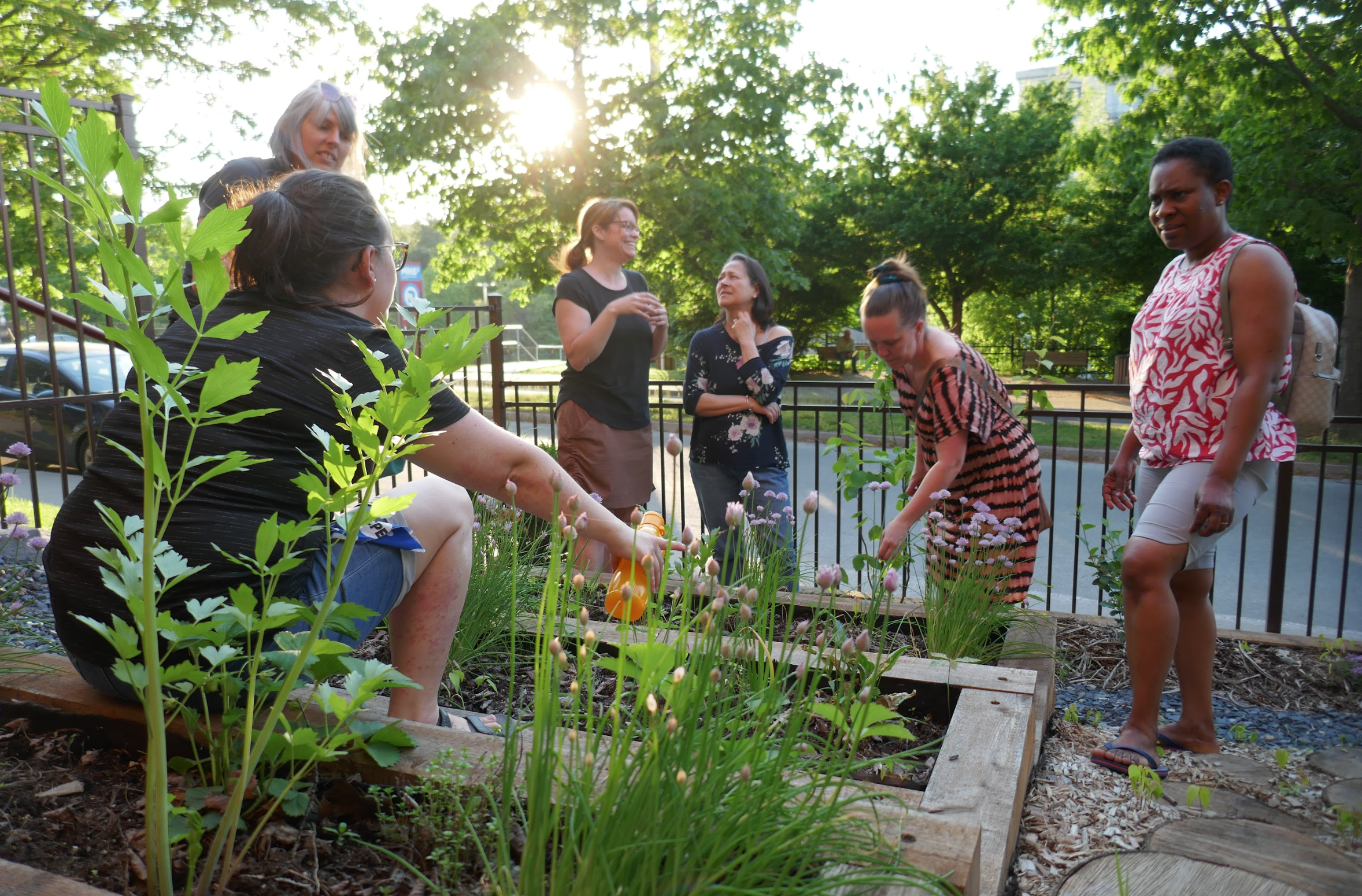 Capture d’écran, le 2026-02-12 à 14.59.35.png