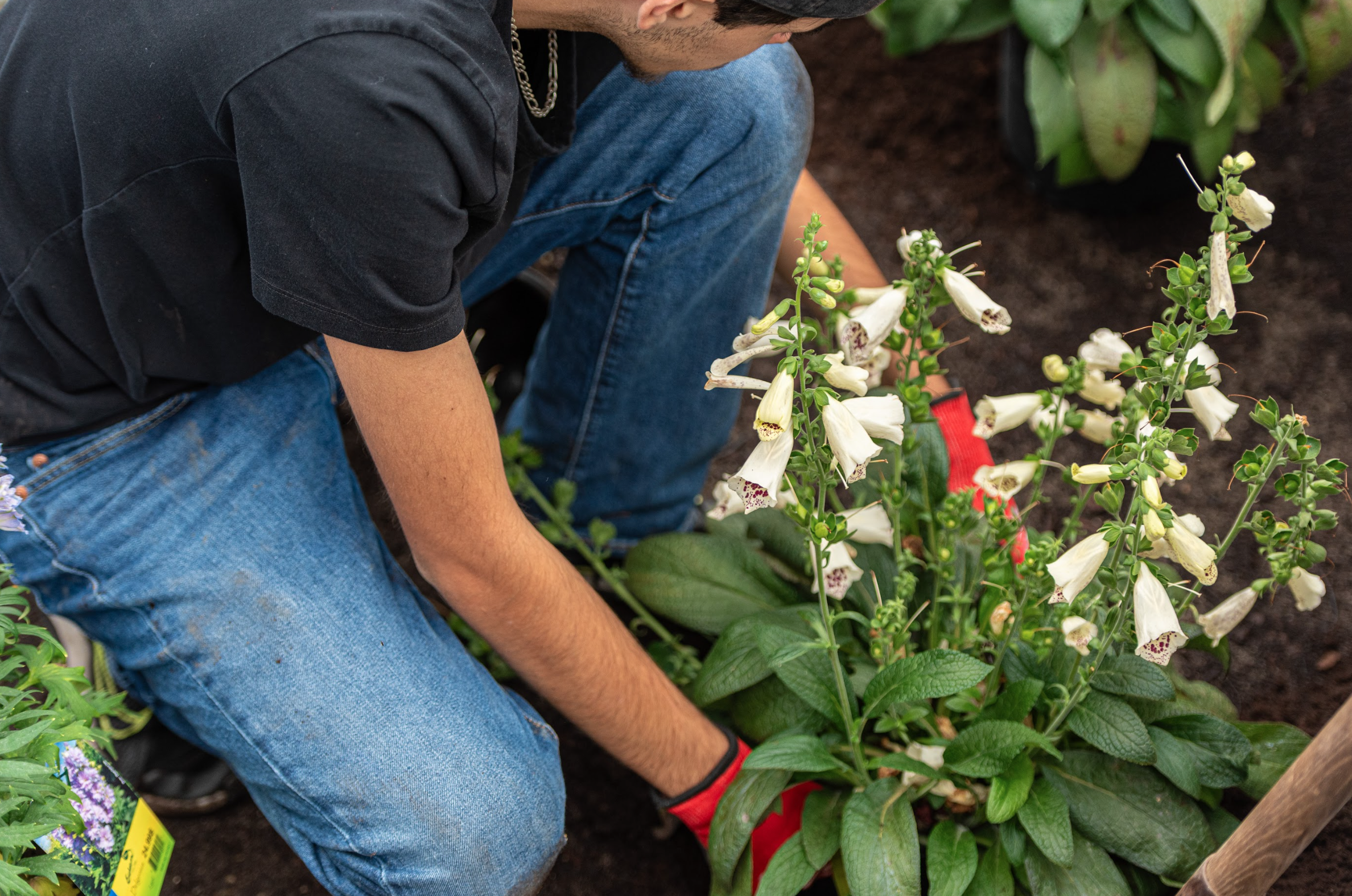 Capture d’écran, le 2026-02-12 à 14.50.39.png