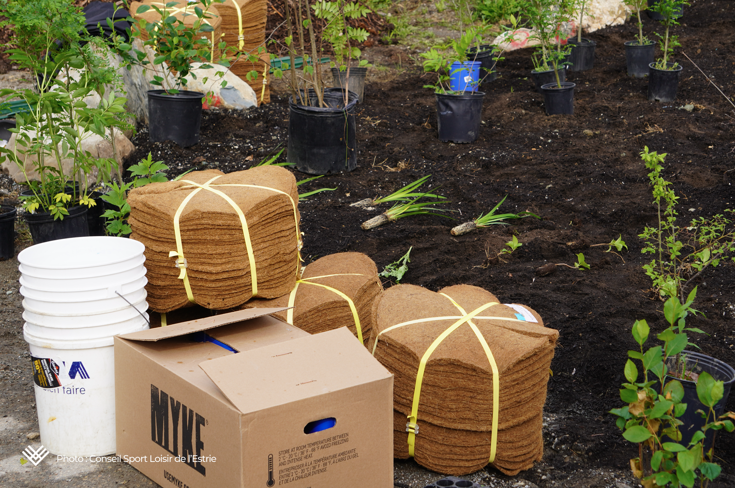 Capture d’écran, le 2026-02-12 à 15.12.46.png