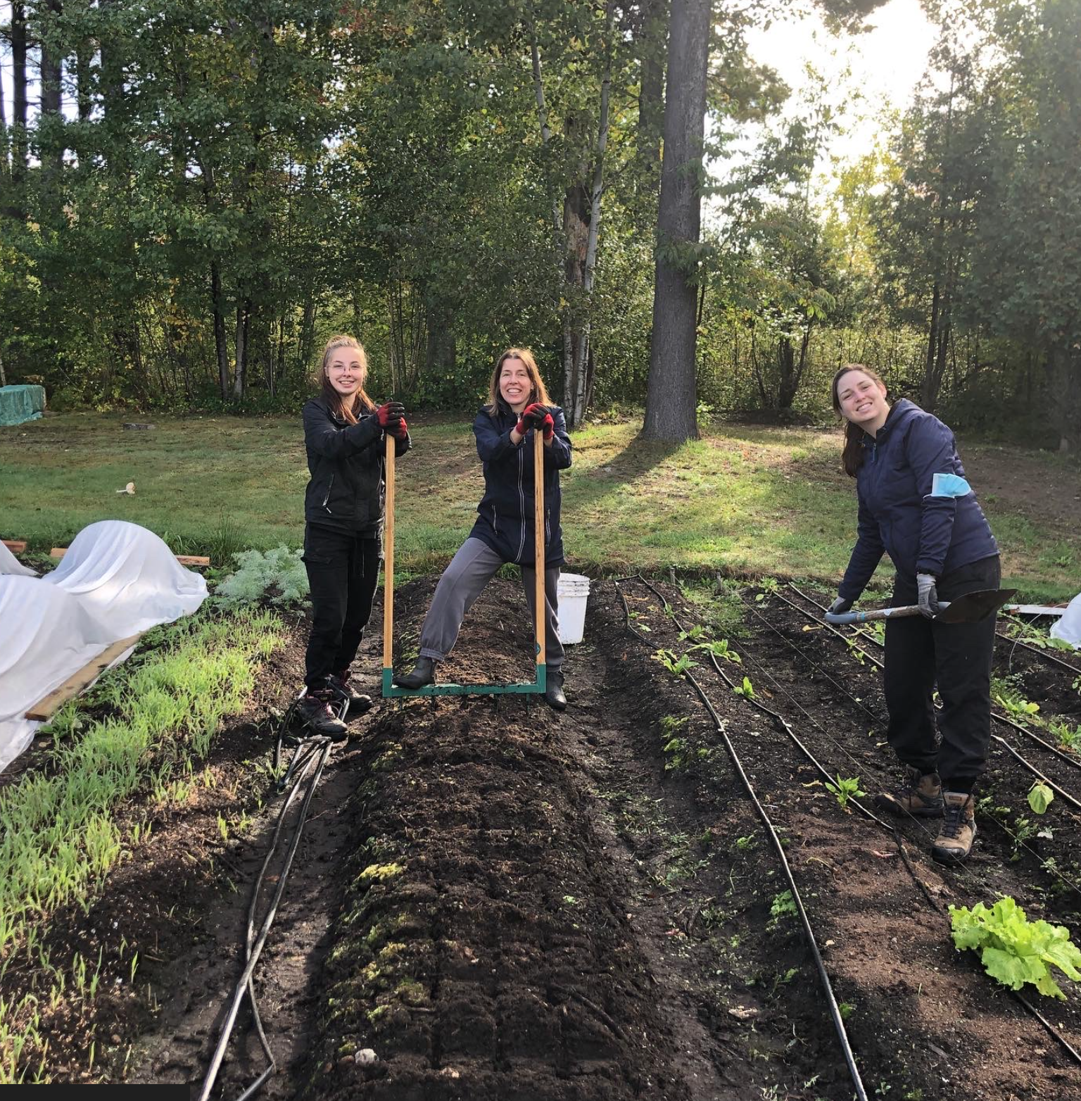 Capture d’écran, le 2026-02-11 à 15.37.46.png
