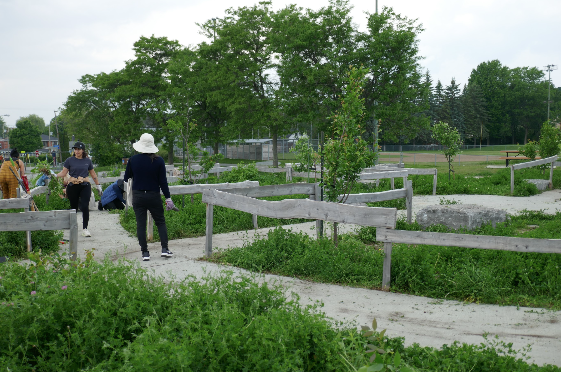 Capture d’écran, le 2026-02-12 à 15.23.44.png