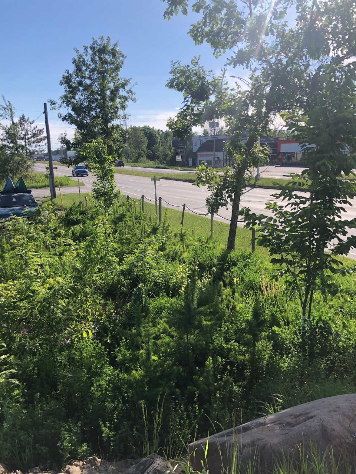 Capture d’écran, le 2026-02-12 à 15.03.48.png