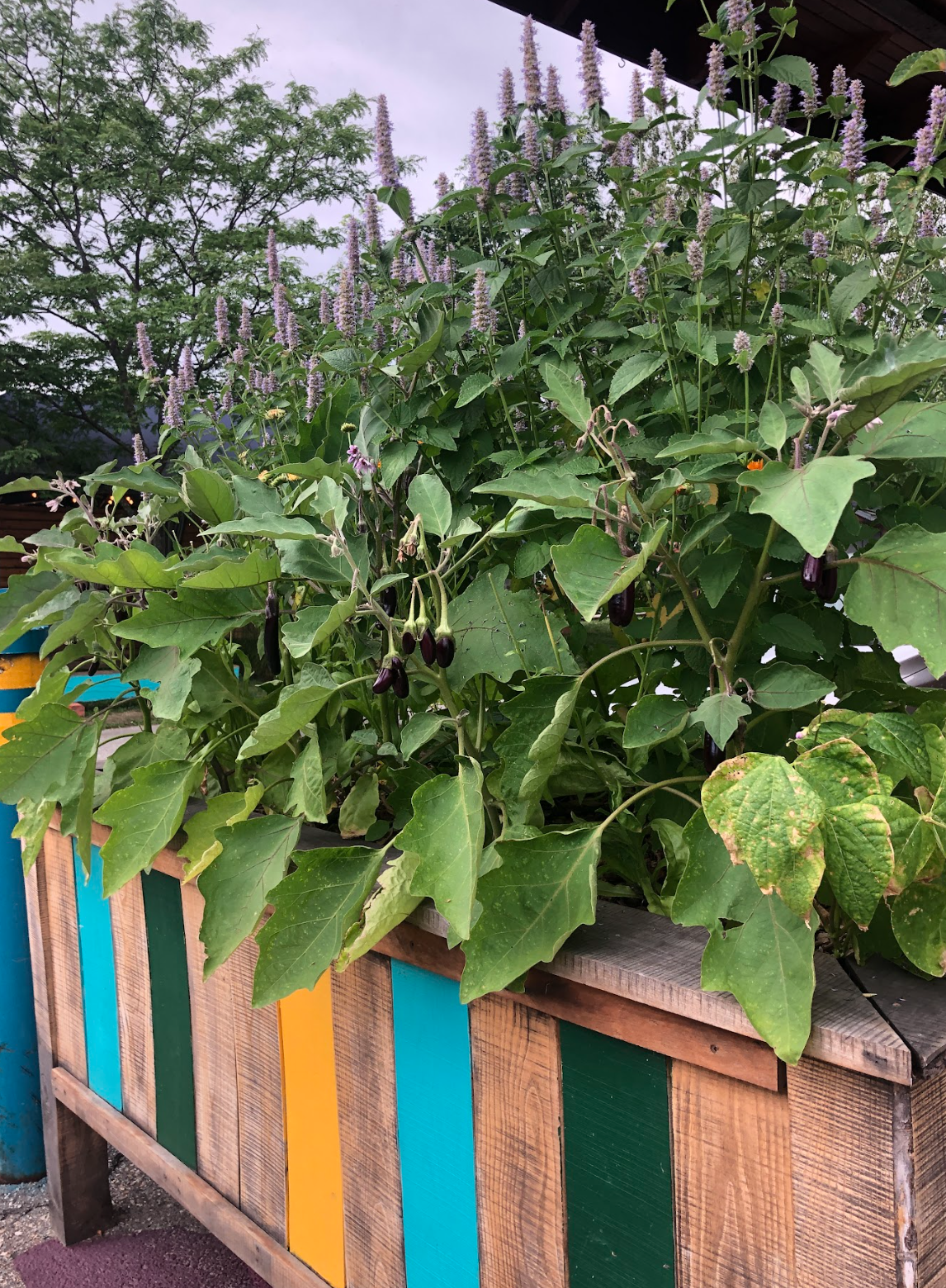 Capture d’écran, le 2026-02-12 à 15.49.08.png