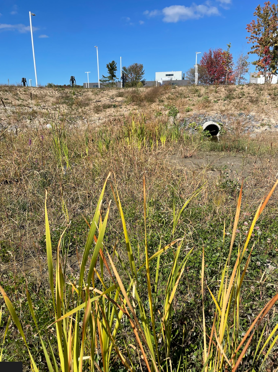Capture d’écran, le 2026-02-11 à 15.29.41.png