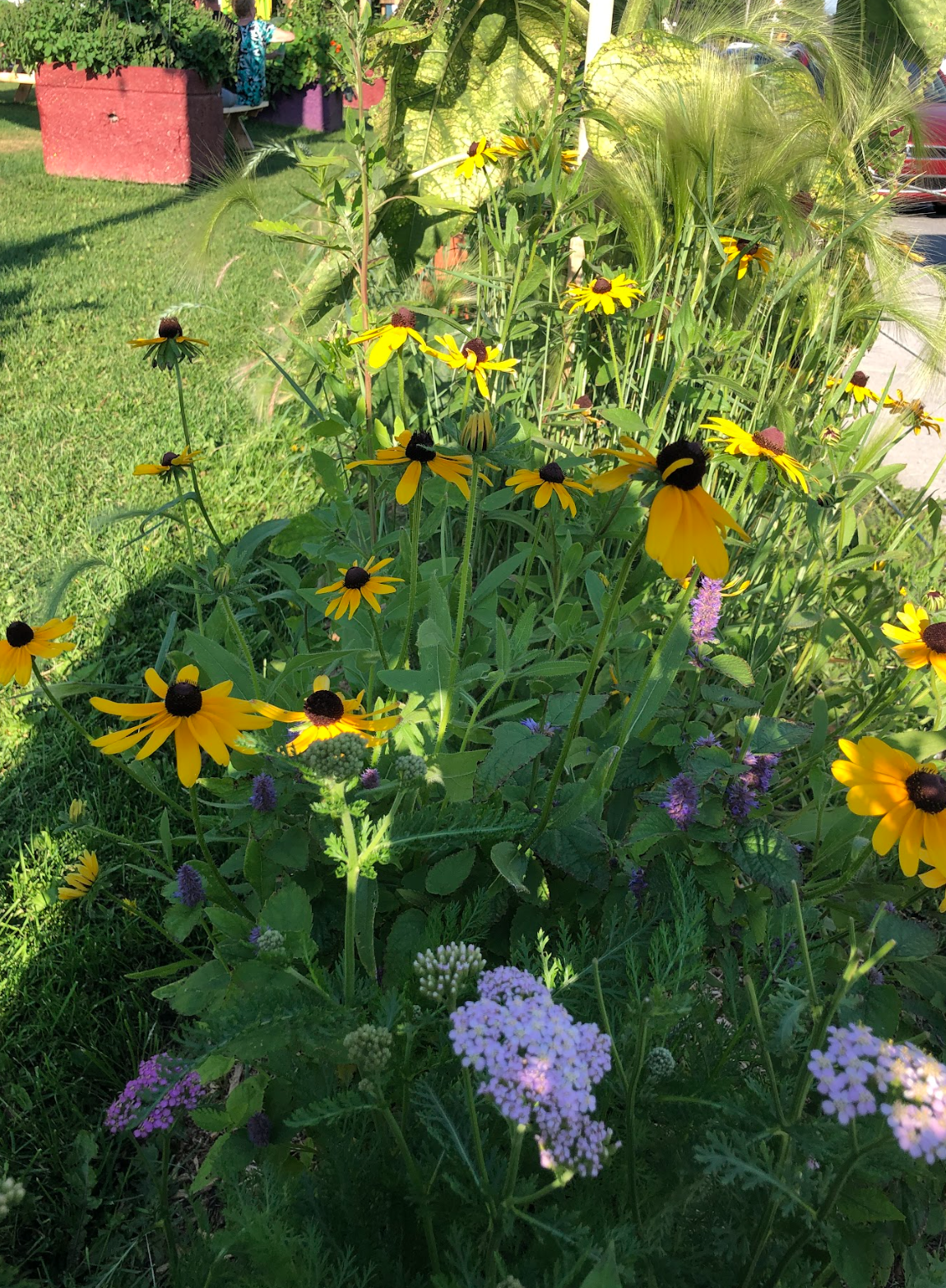 Capture d’écran, le 2026-02-12 à 15.58.55.png