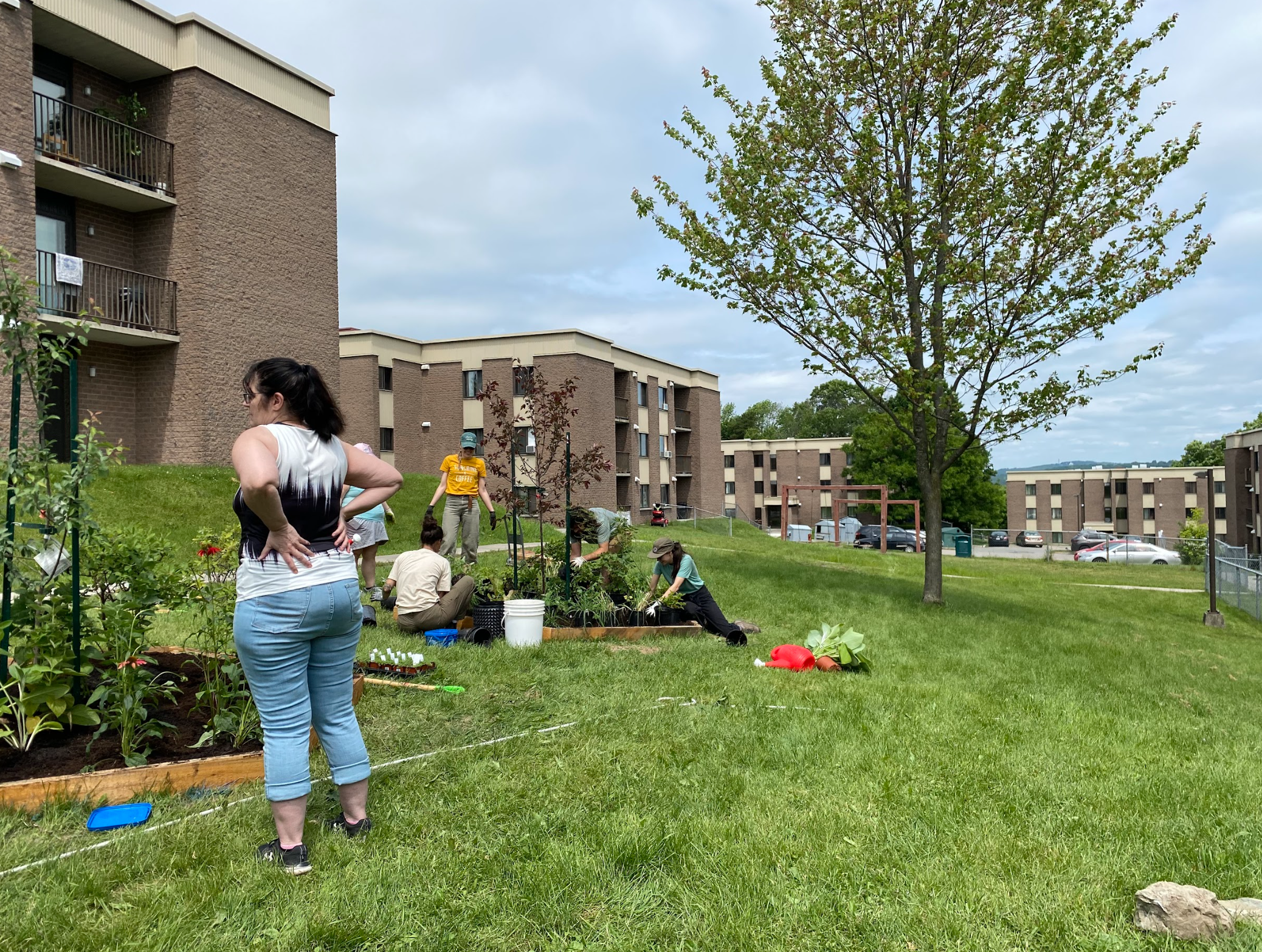 Capture d’écran, le 2026-02-12 à 16.15.21.png