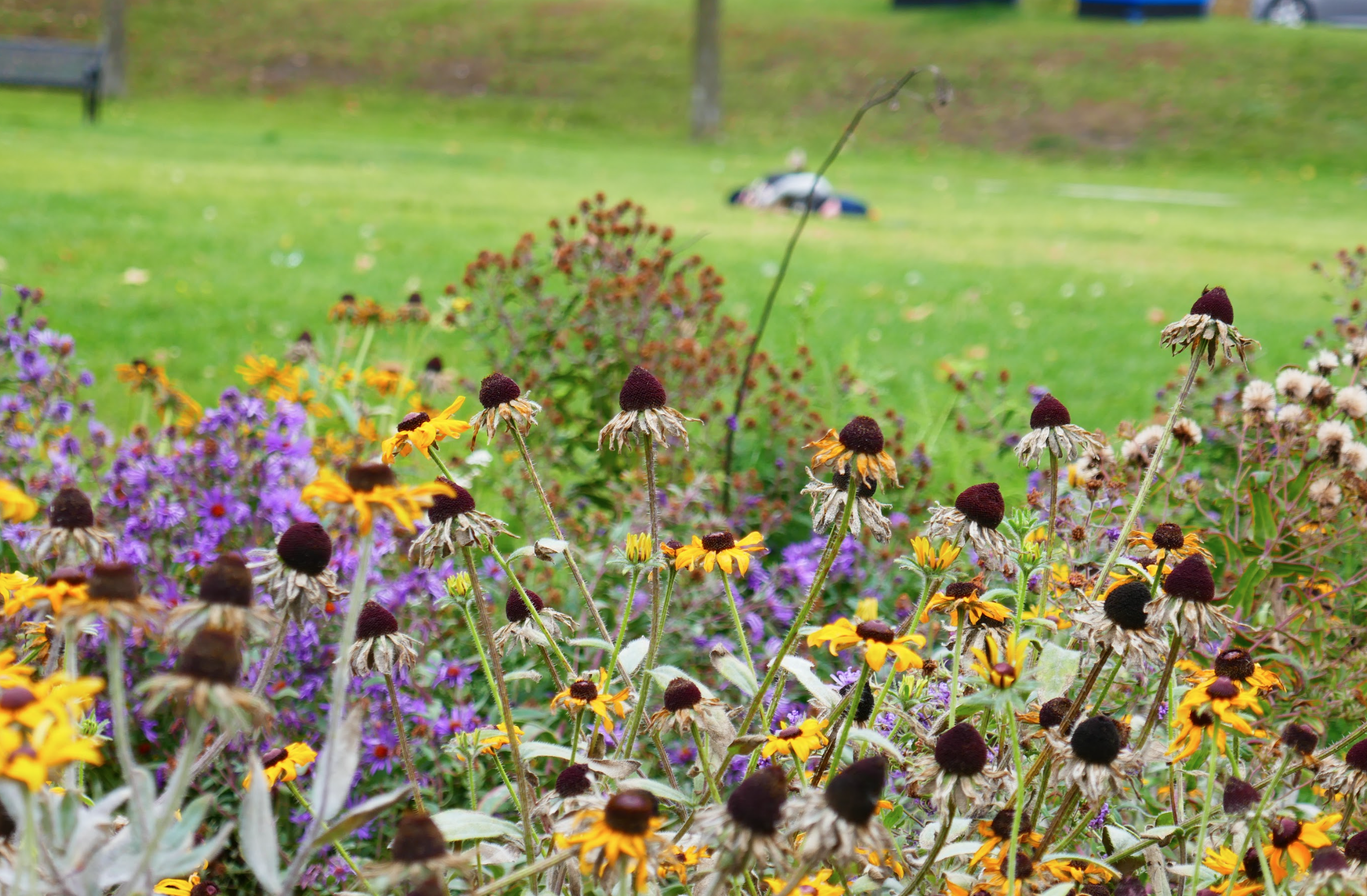 Capture d’écran, le 2026-02-12 à 15.34.47.png