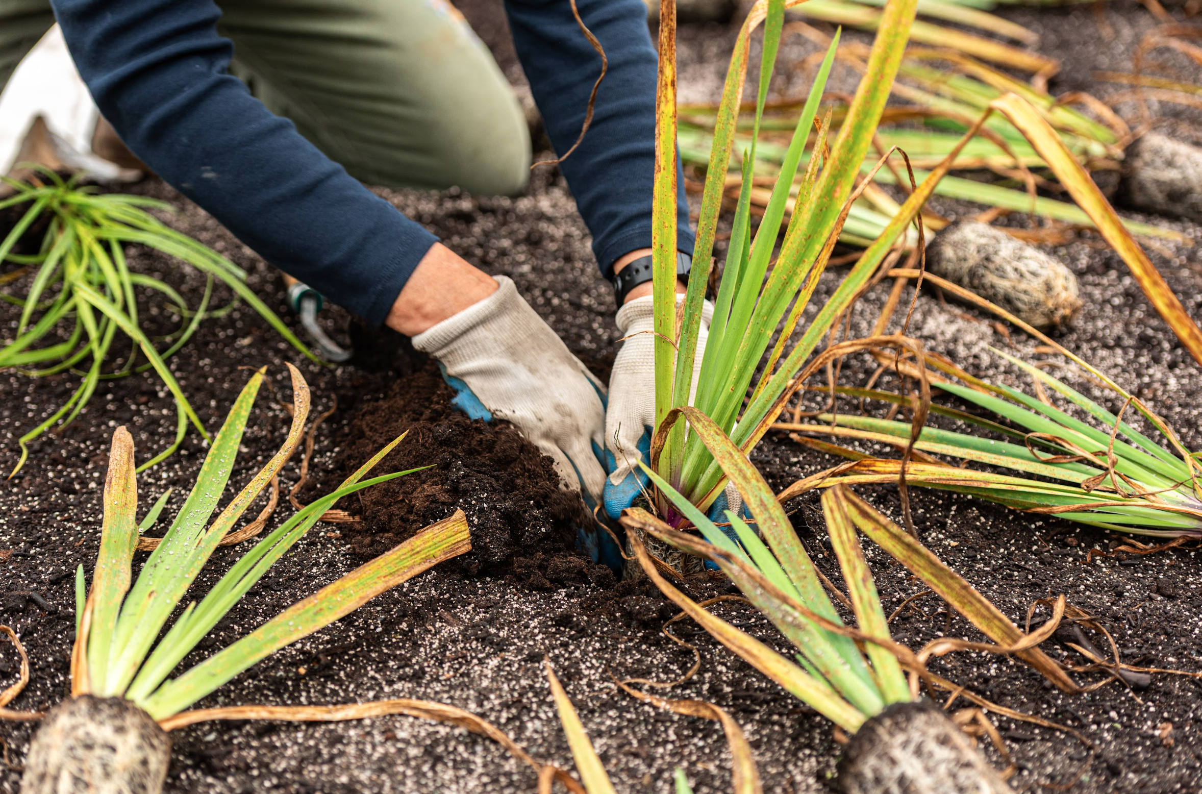 Capture d’écran, le 2026-02-12 à 14.49.27.png