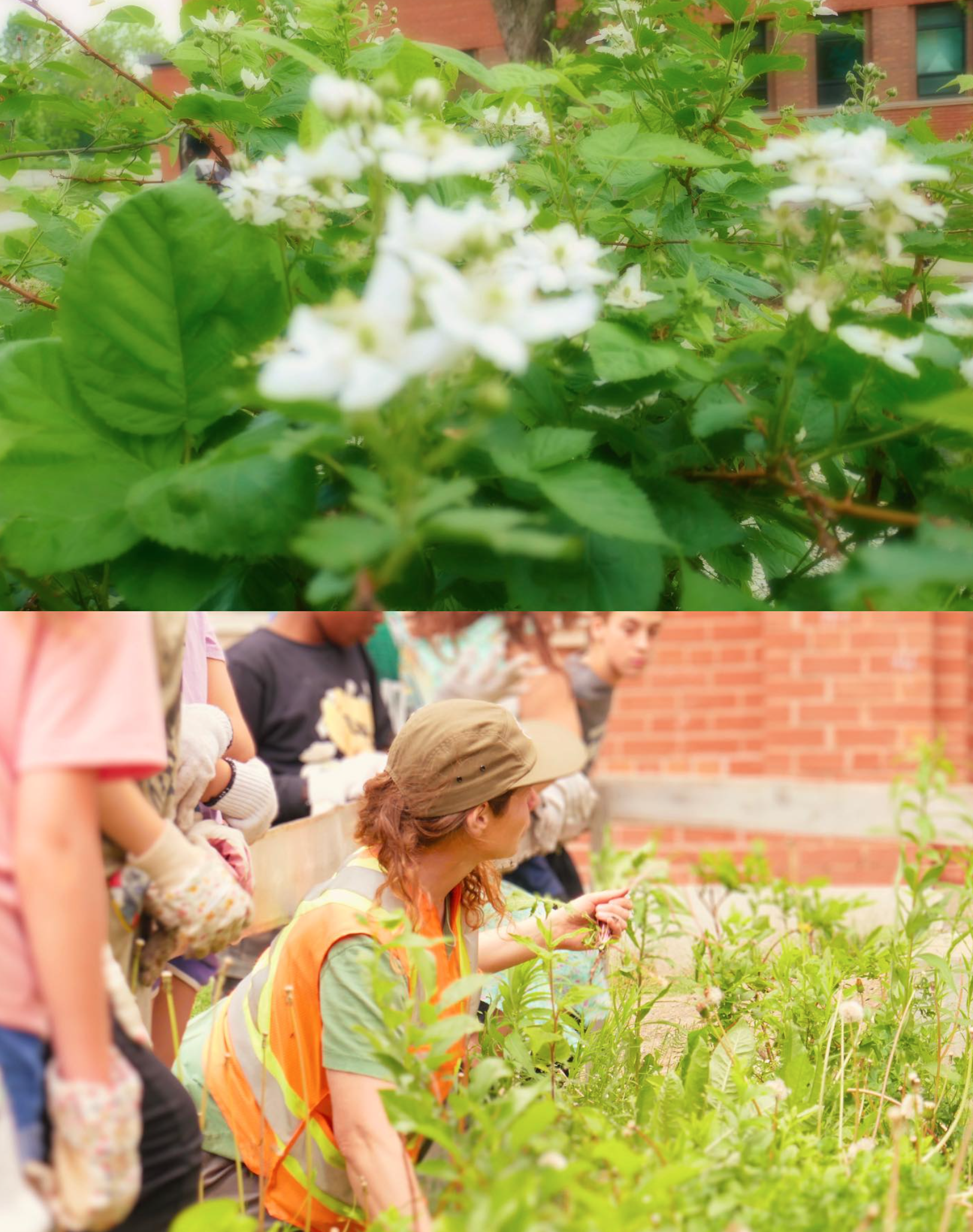 Capture d’écran, le 2026-02-13 à 13.01.38.png