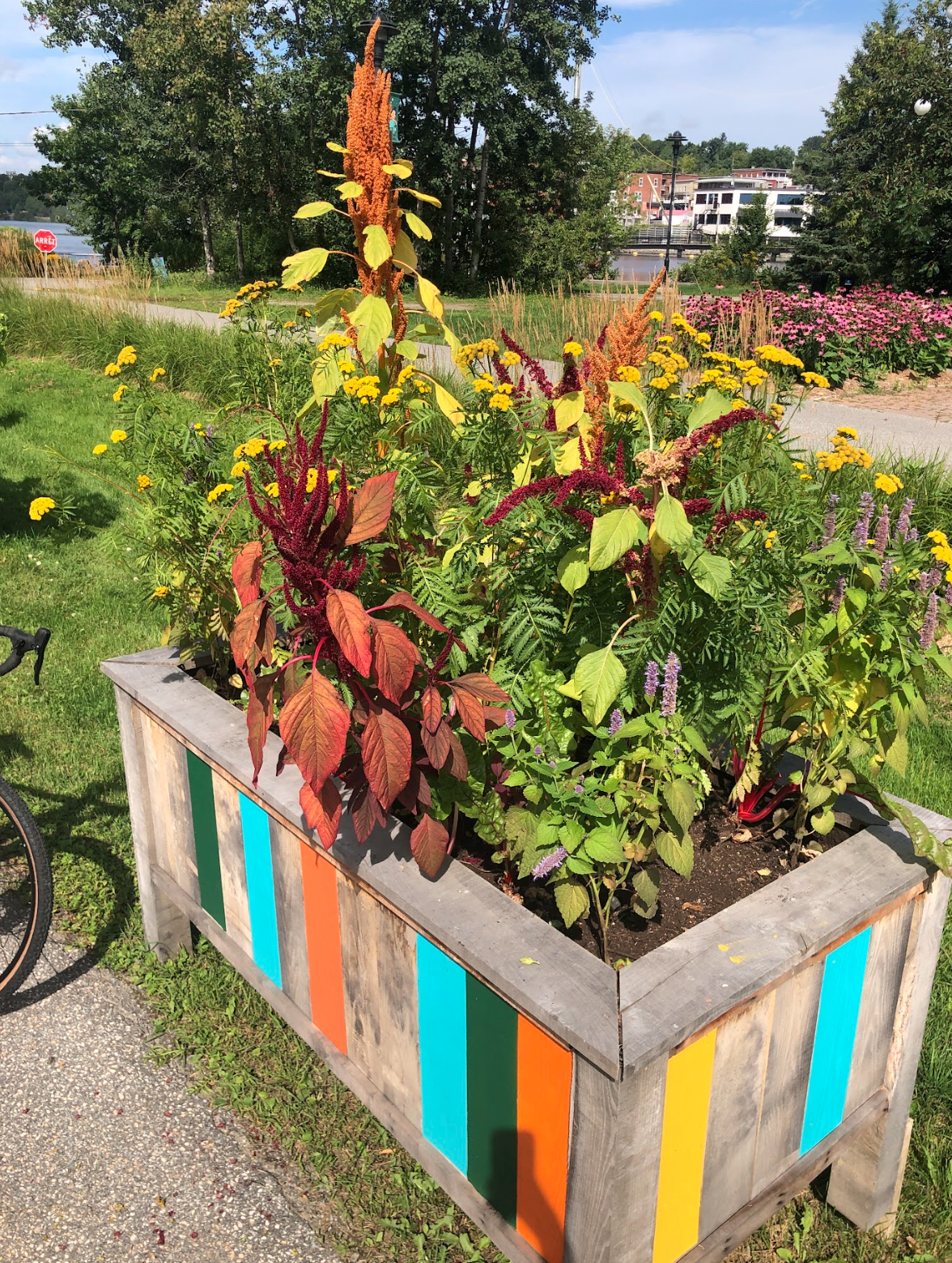 Capture d’écran, le 2026-02-12 à 15.56.35.png