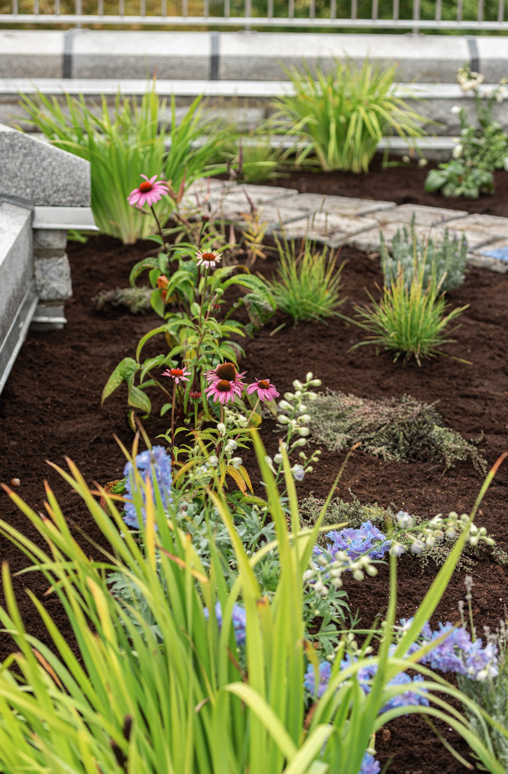 Capture d’écran, le 2026-02-12 à 14.51.14.png