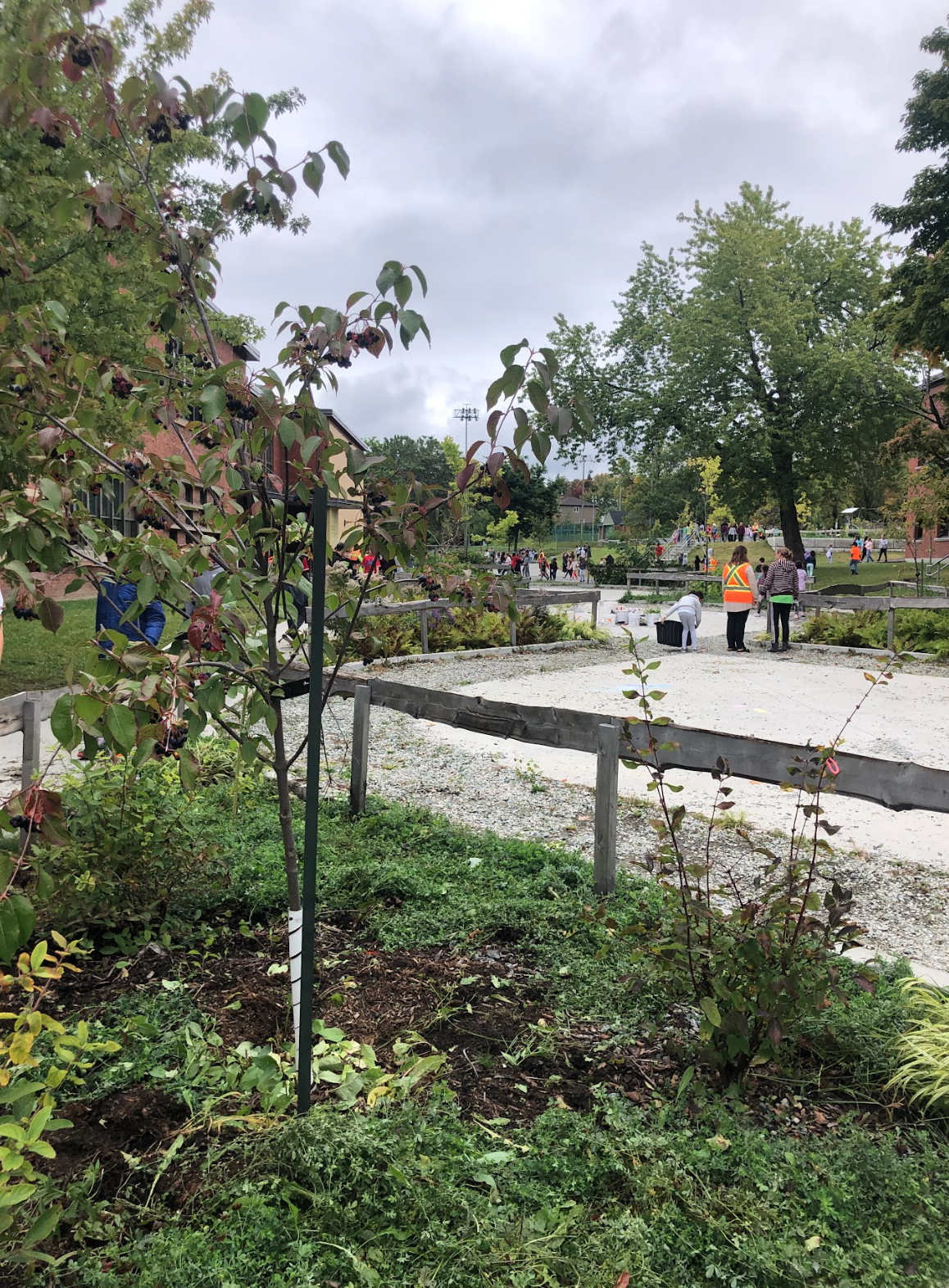 Capture d’écran, le 2026-02-12 à 15.19.53.png