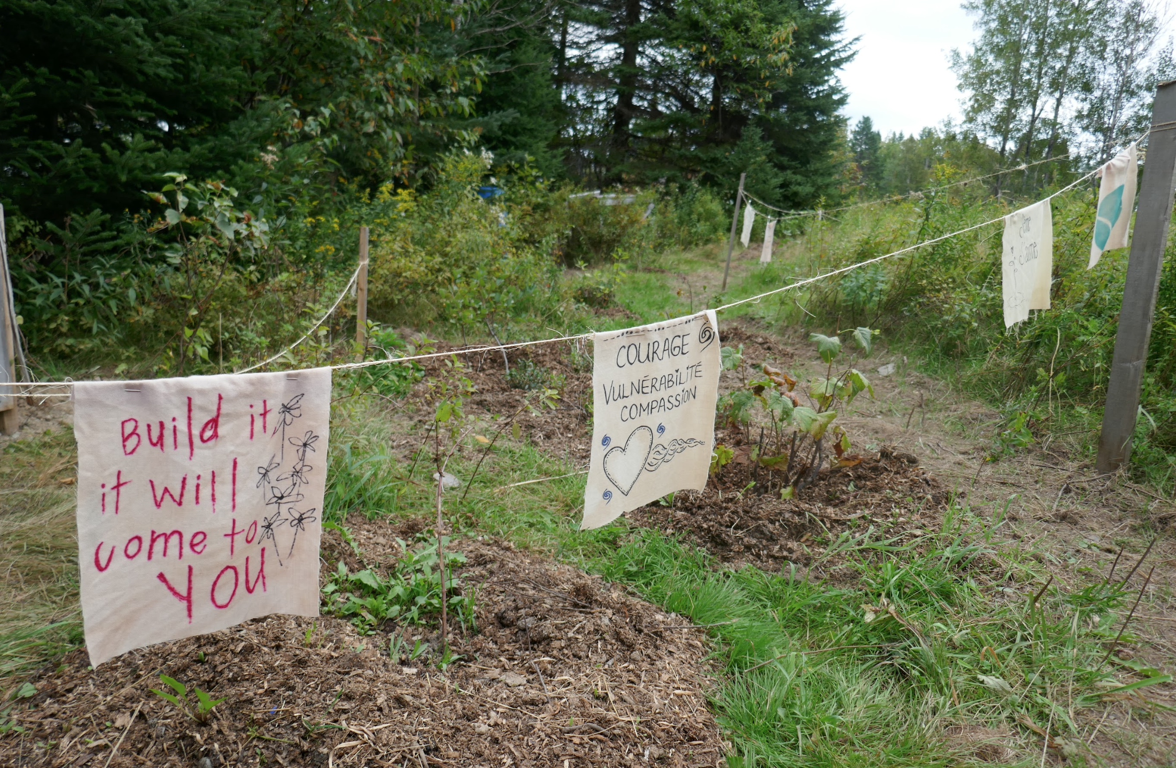 Capture d’écran, le 2026-02-11 à 15.52.13.png