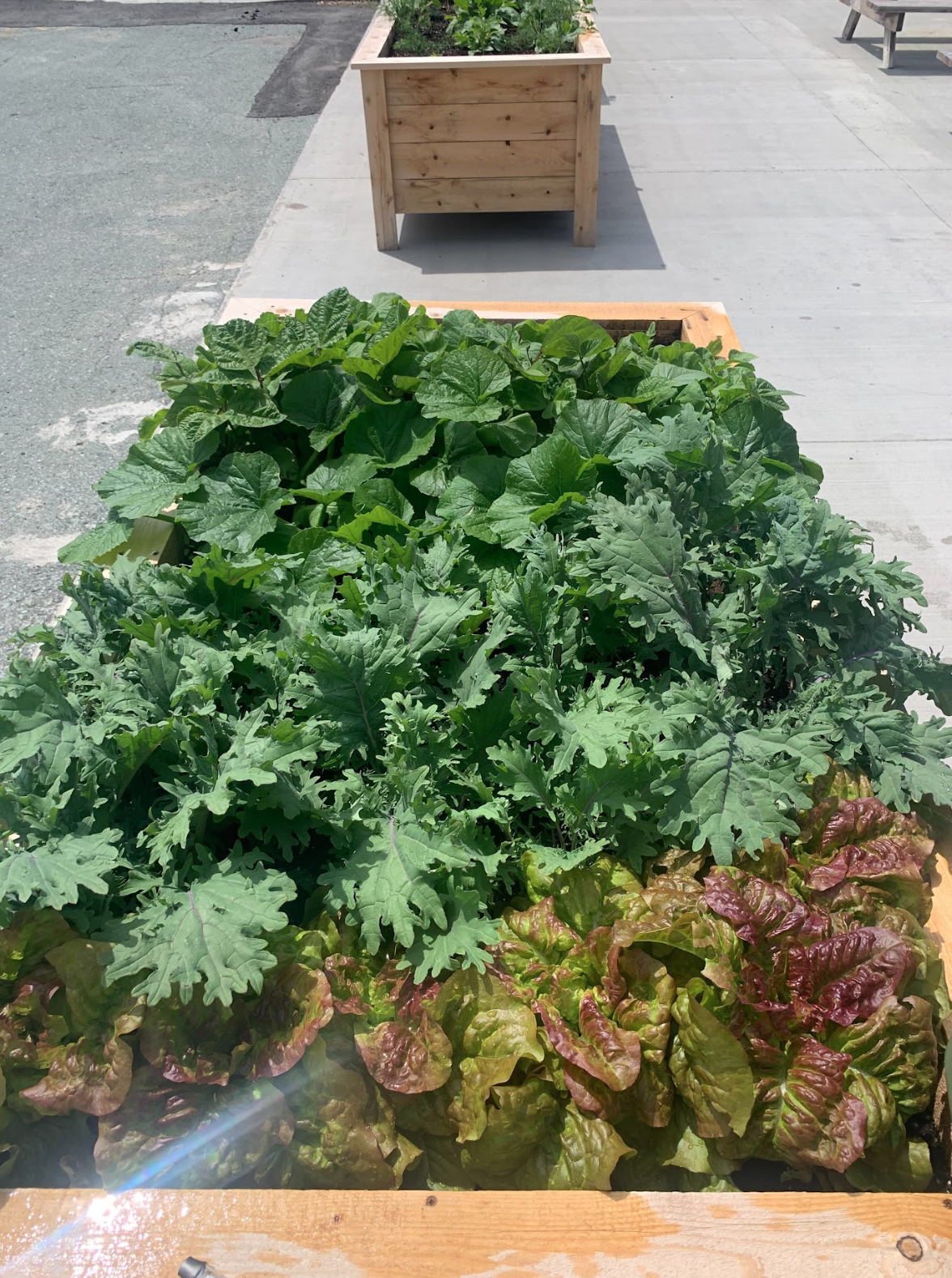 Capture d’écran, le 2026-02-12 à 14.43.52.png