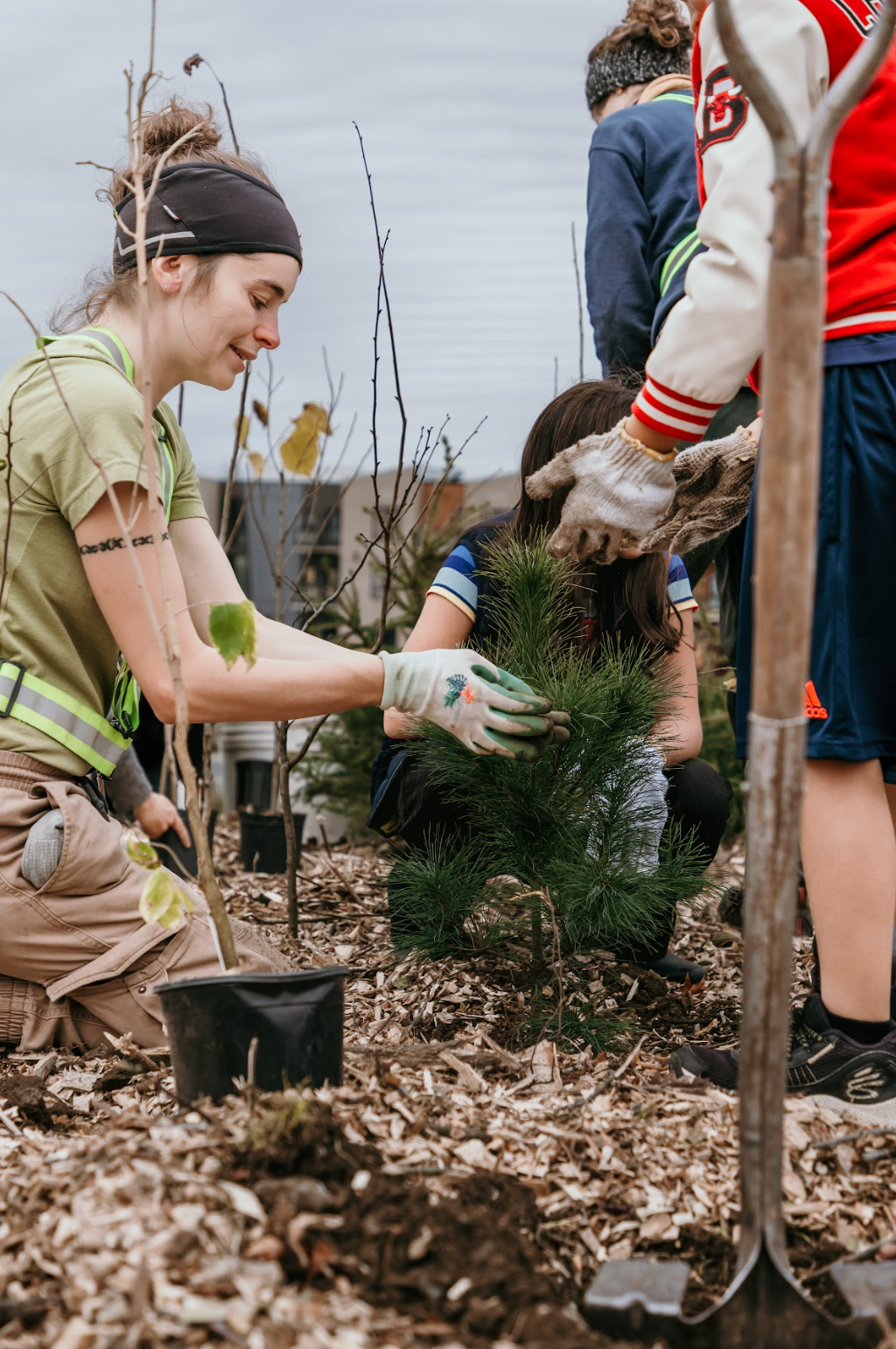 Capture d’écran, le 2026-02-18 à 11.37.23.png