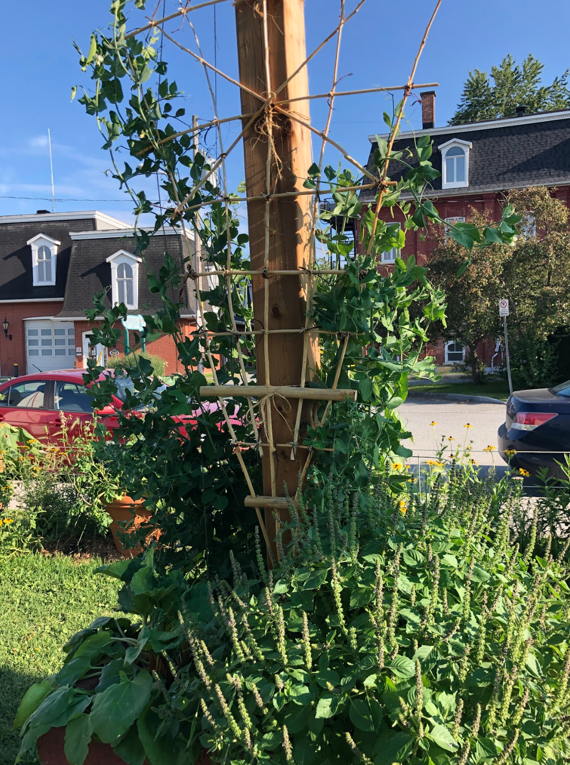 Capture d’écran, le 2026-02-12 à 16.04.08.png