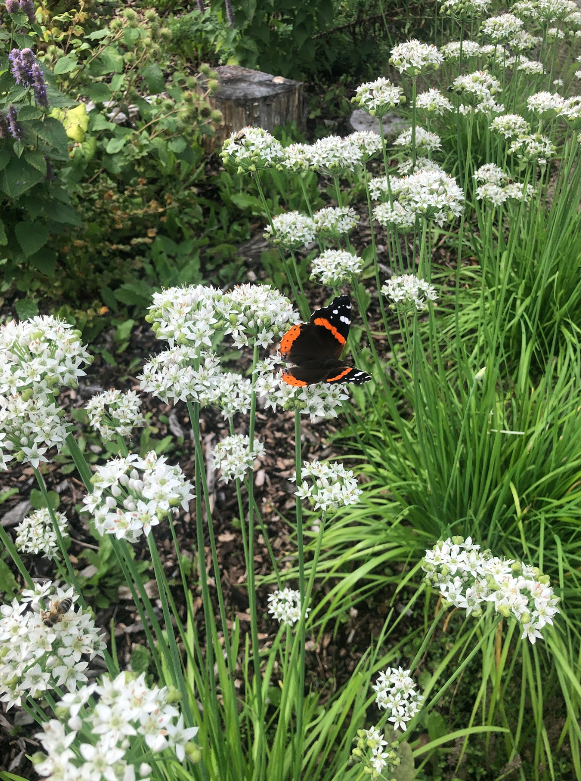 Capture d’écran, le 2026-02-12 à 15.26.39.png
