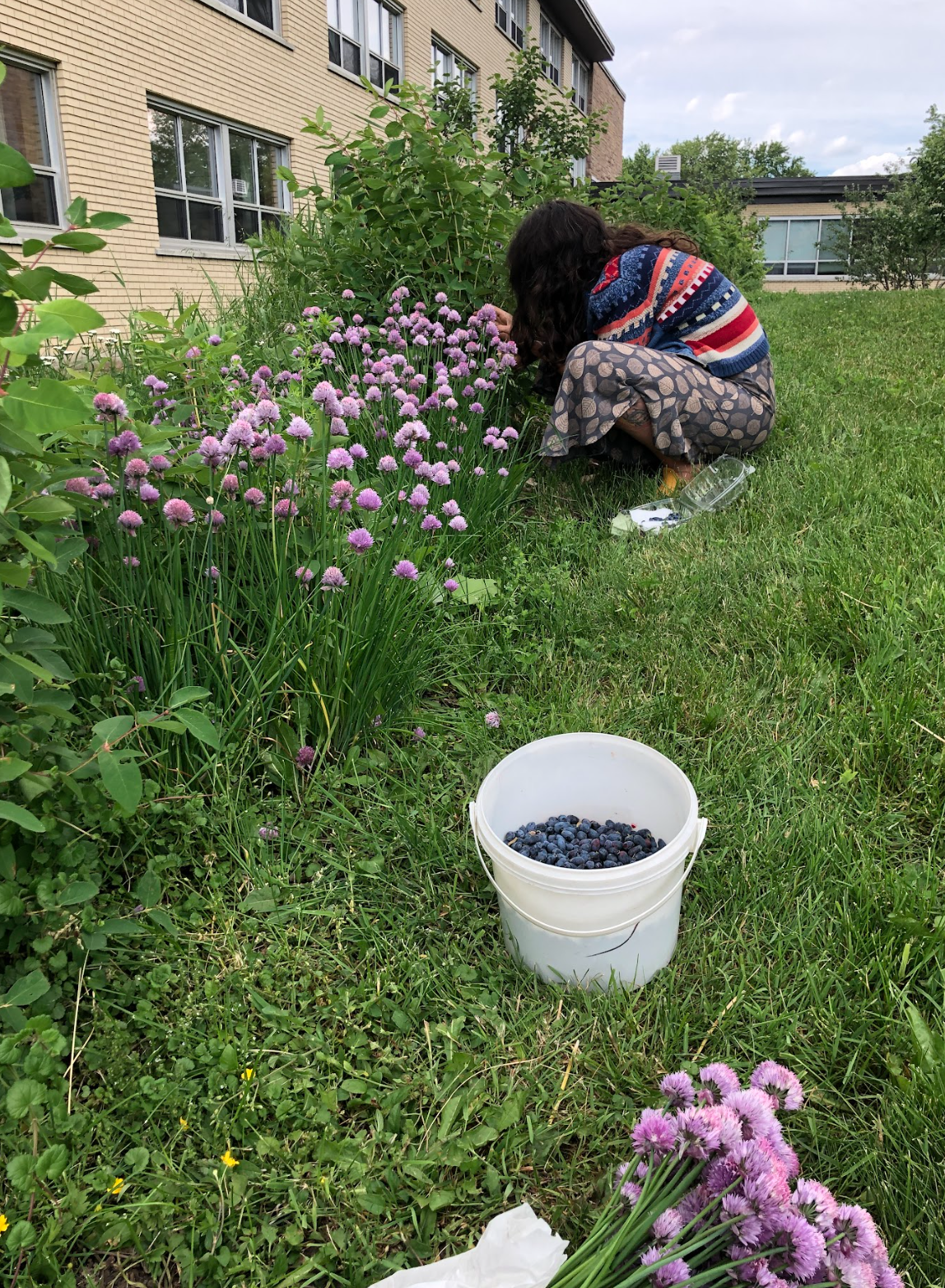Capture d’écran, le 2026-02-12 à 16.09.52.png