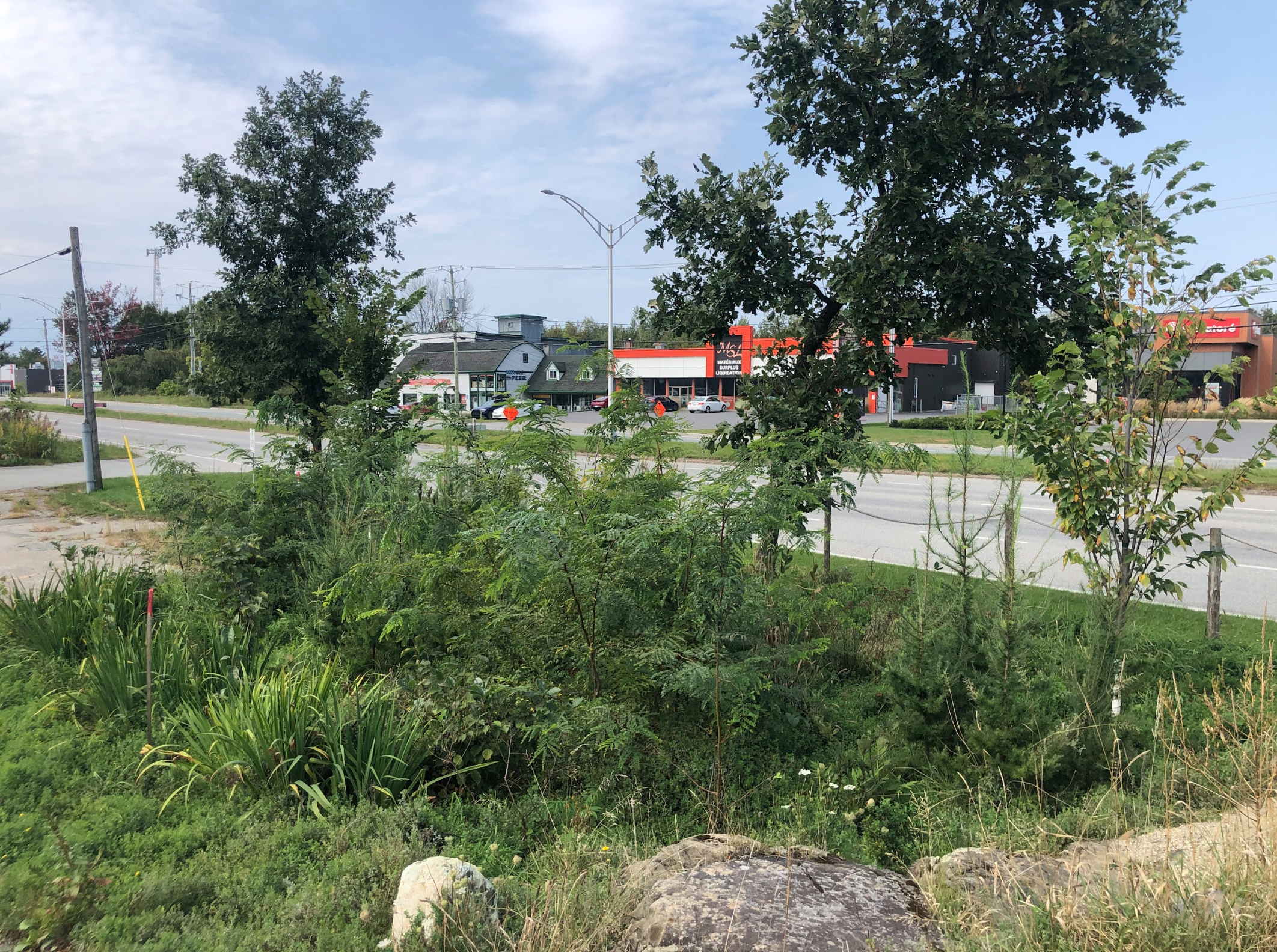 Capture d’écran, le 2026-02-12 à 15.02.39.png