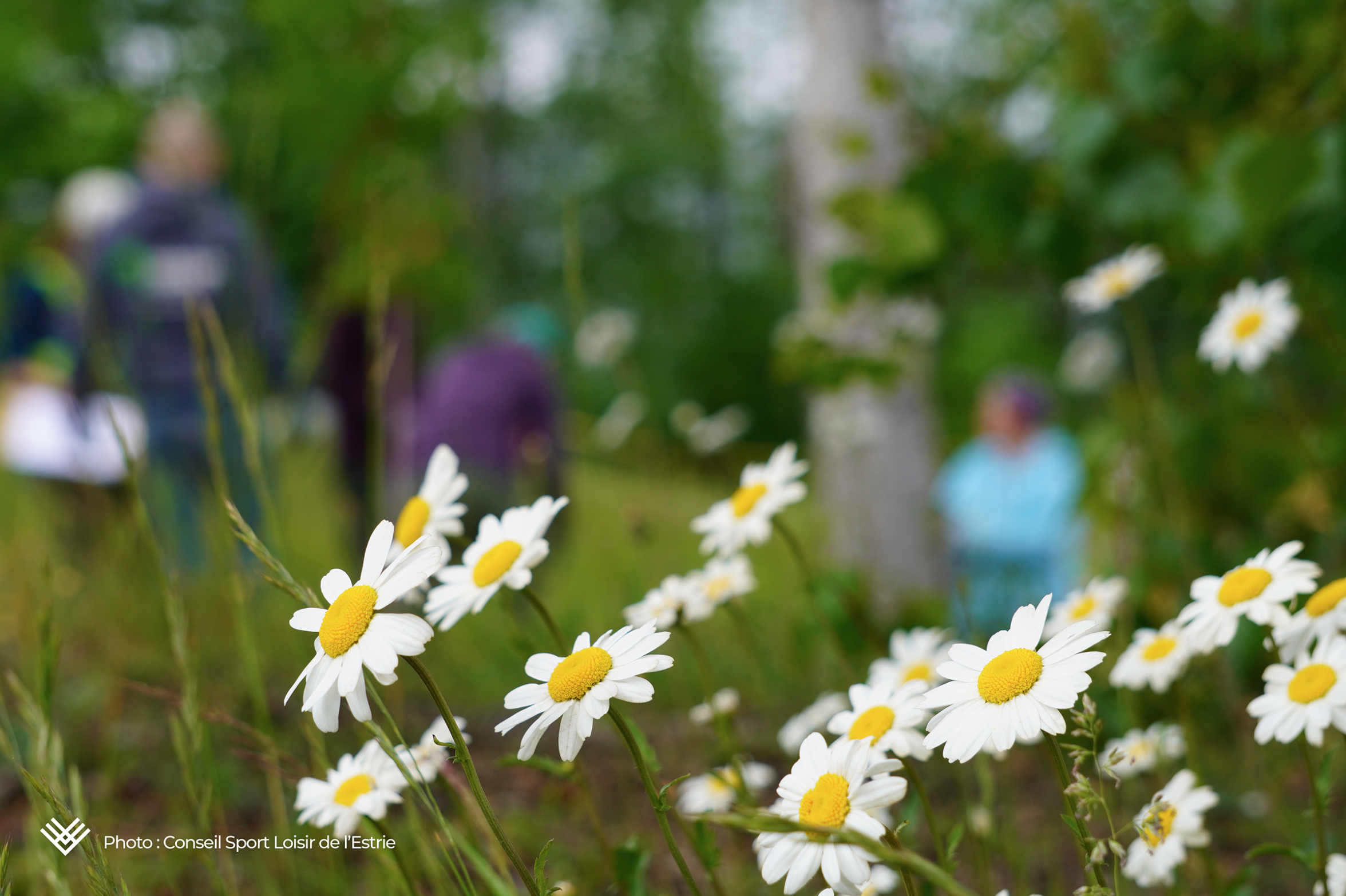 Capture d’écran, le 2026-02-12 à 15.12.56.png