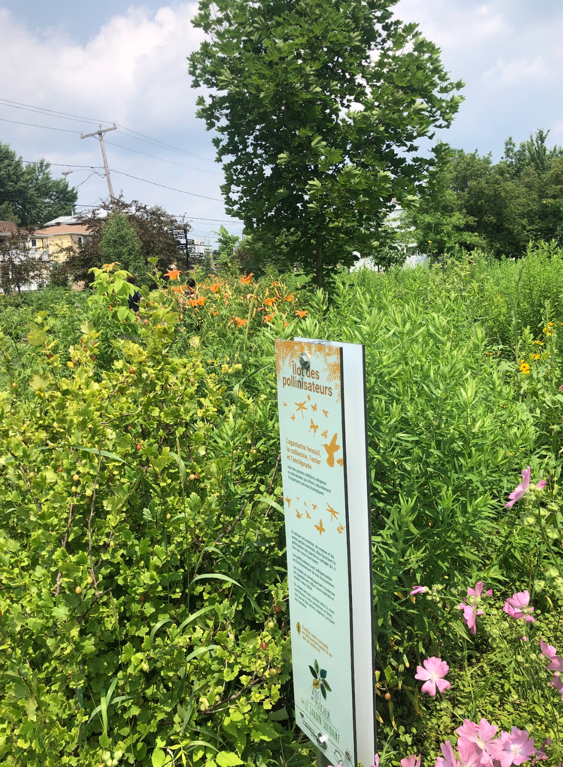 Capture d’écran, le 2026-02-12 à 15.26.49.png