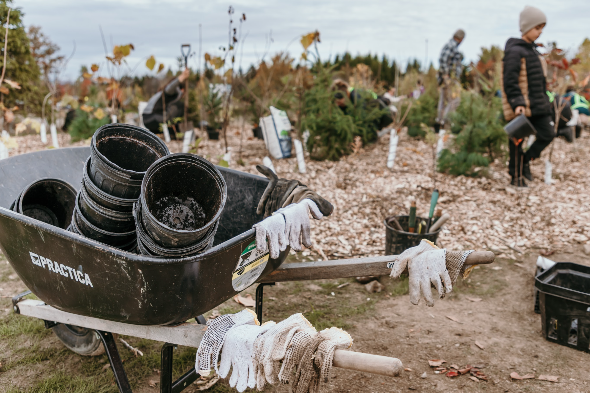Capture d’écran, le 2026-02-18 à 11.38.24.png