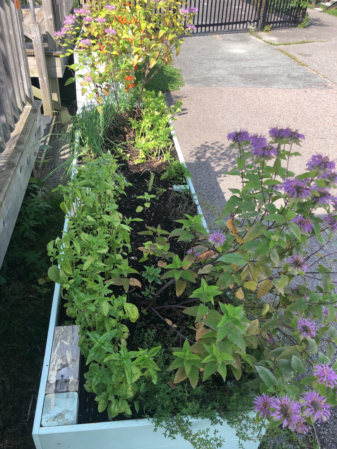 Capture d’écran, le 2026-02-12 à 15.56.48.png