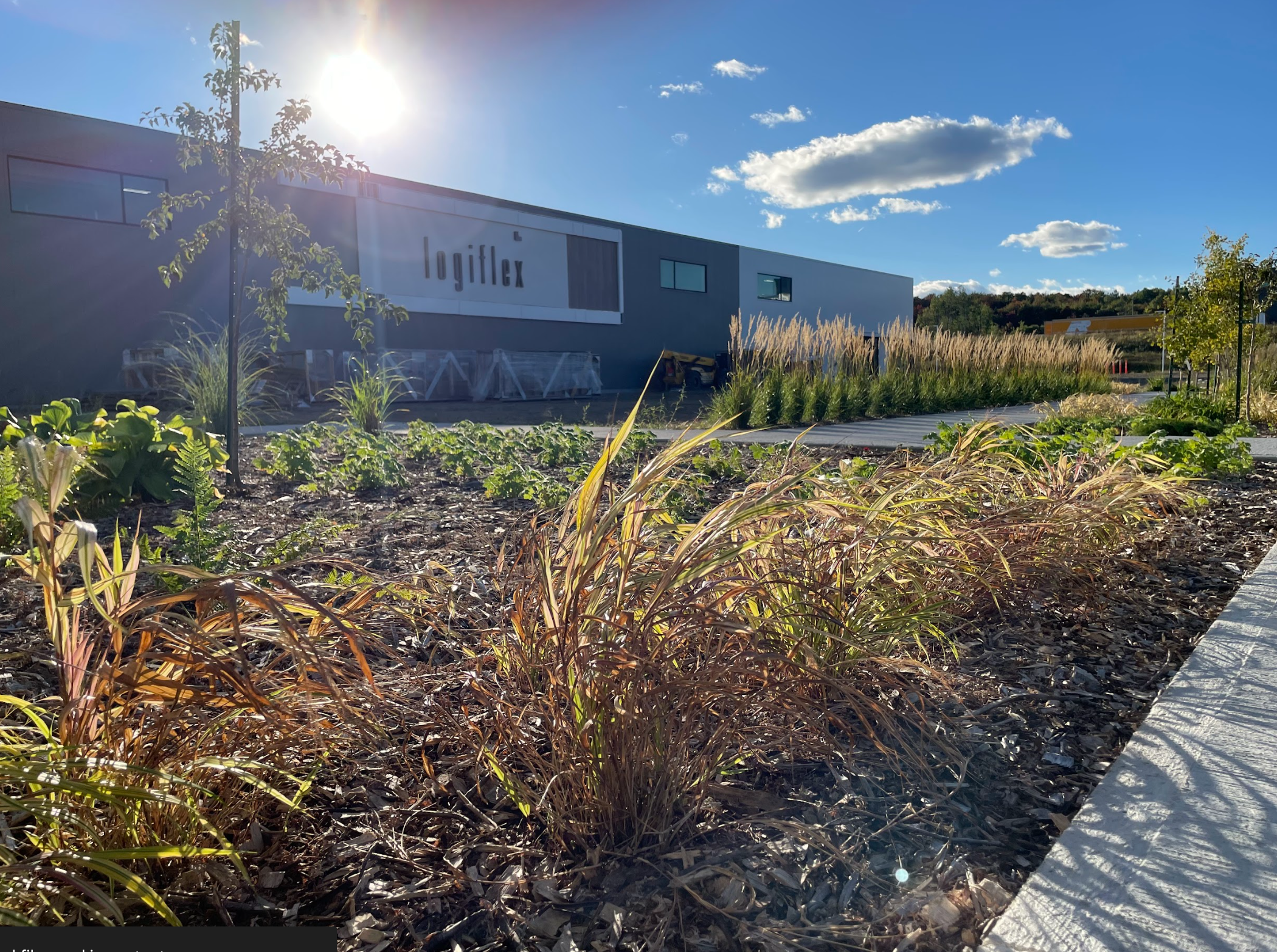 Capture d’écran, le 2026-02-11 à 15.30.26.png