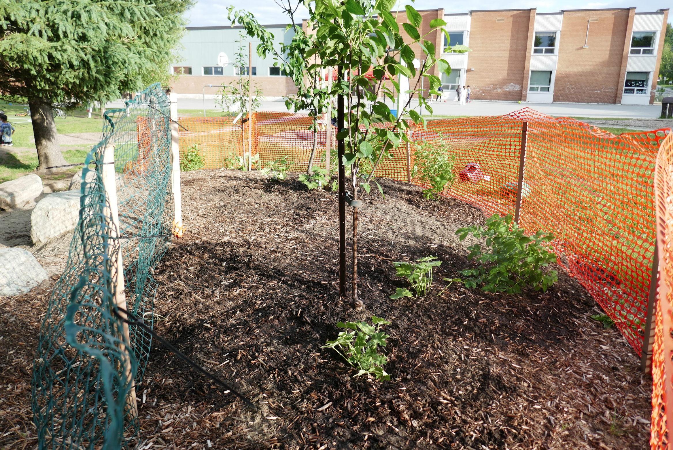 Capture d’écran, le 2026-02-12 à 15.39.21.png