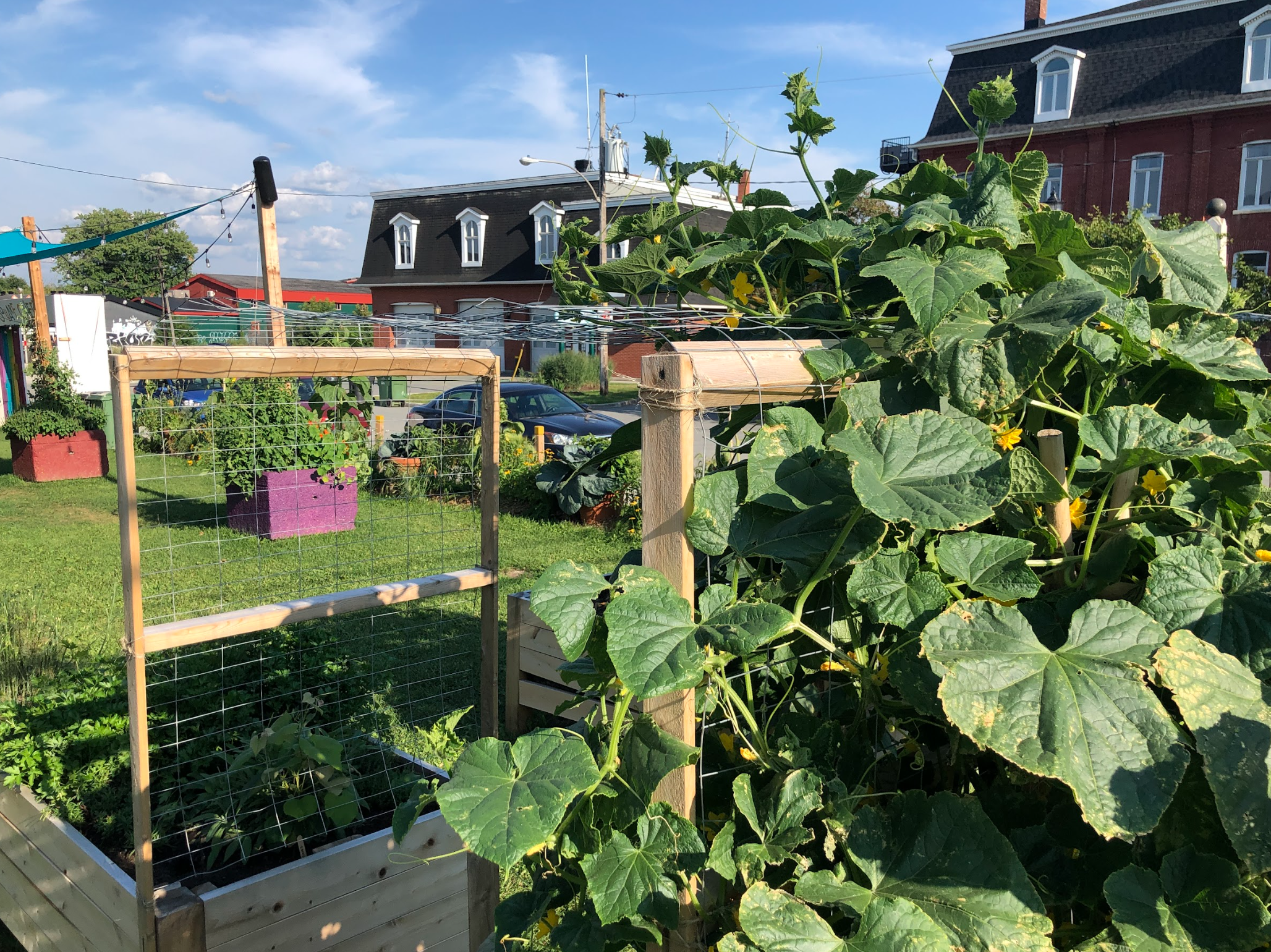 Capture d’écran, le 2026-02-12 à 15.59.06.png