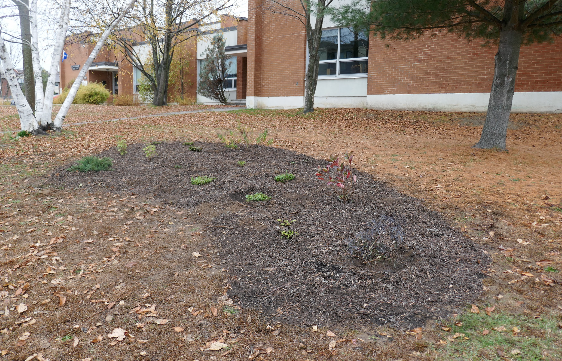Capture d’écran, le 2026-02-12 à 15.37.07.png